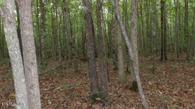 Lot 48 Parkstown Extension Road Wilder TN 38589
