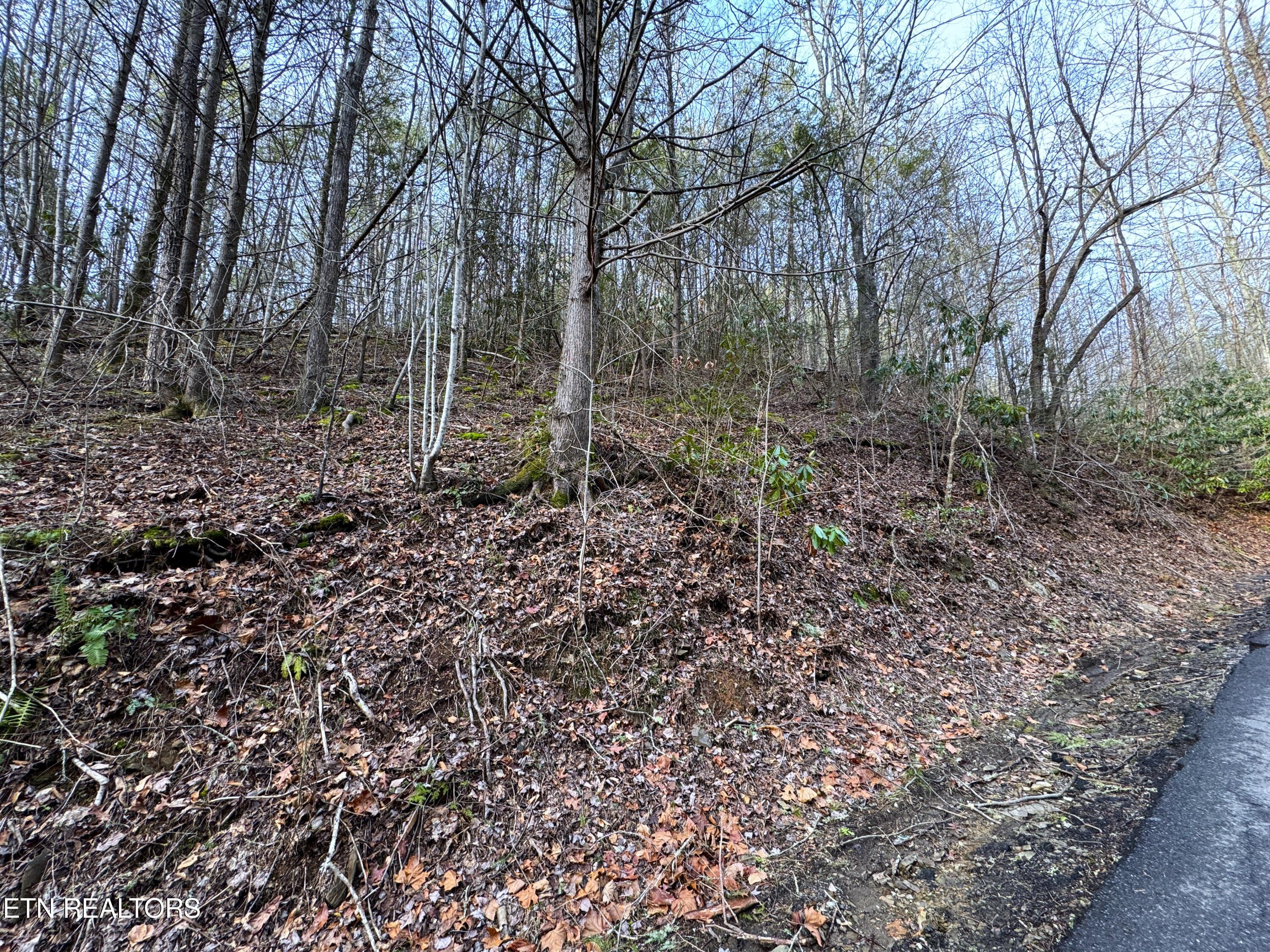 Black Gum Road Gatlinburg TN 37738