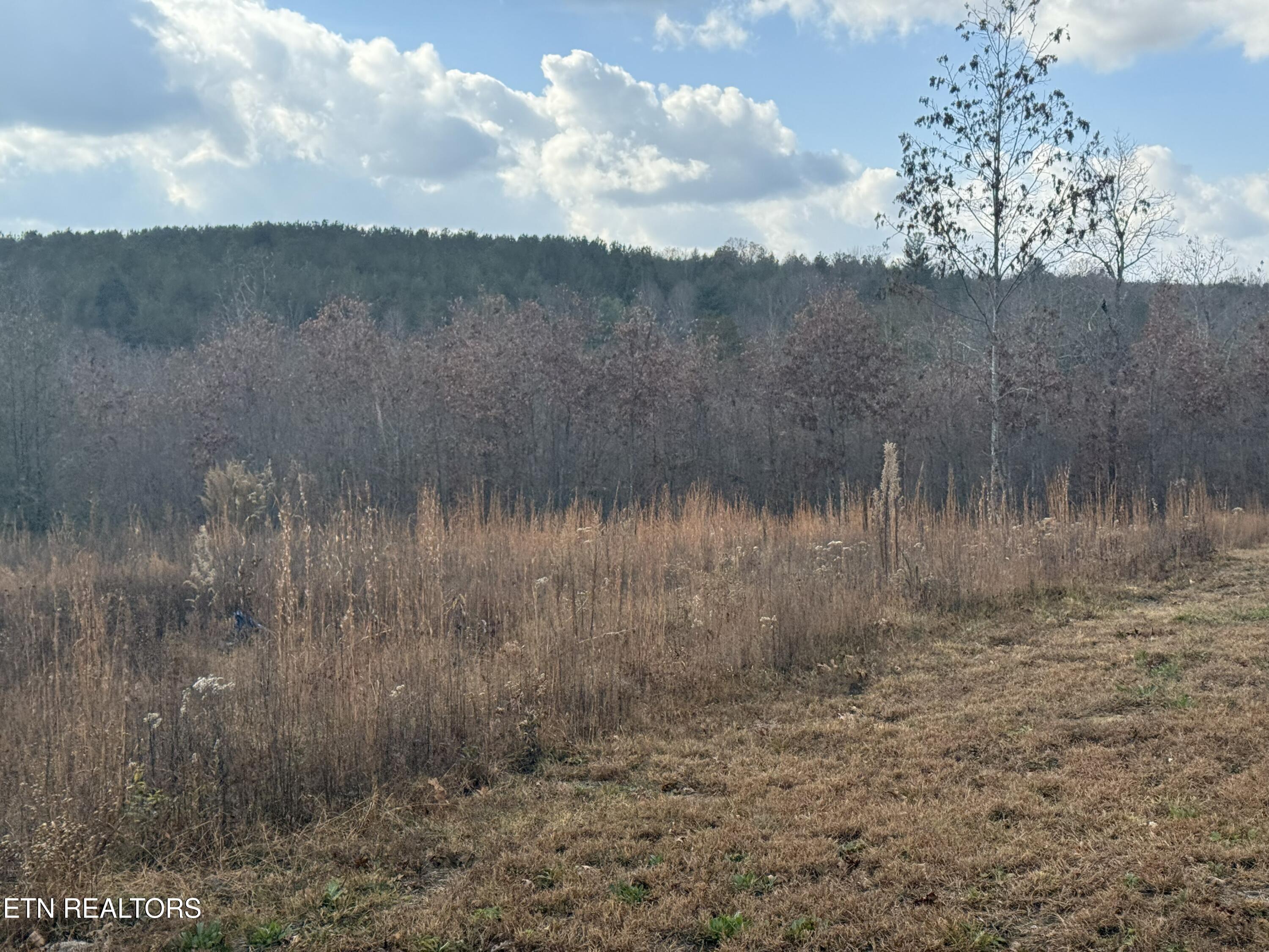 6.25 Acres Valerie Drive Deer Lodge TN 37726