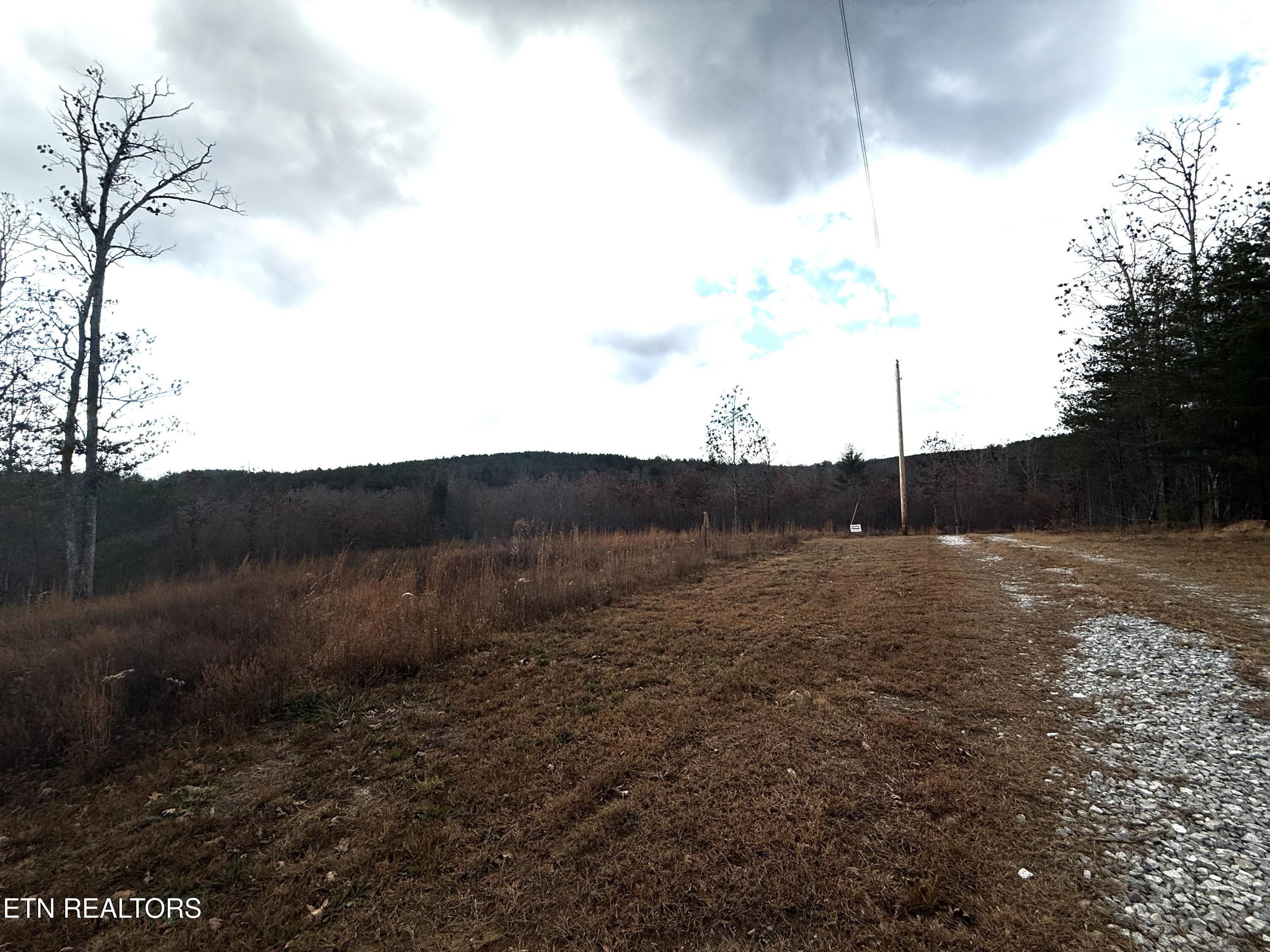 6.25 Acres Valerie Drive Deer Lodge TN 37726