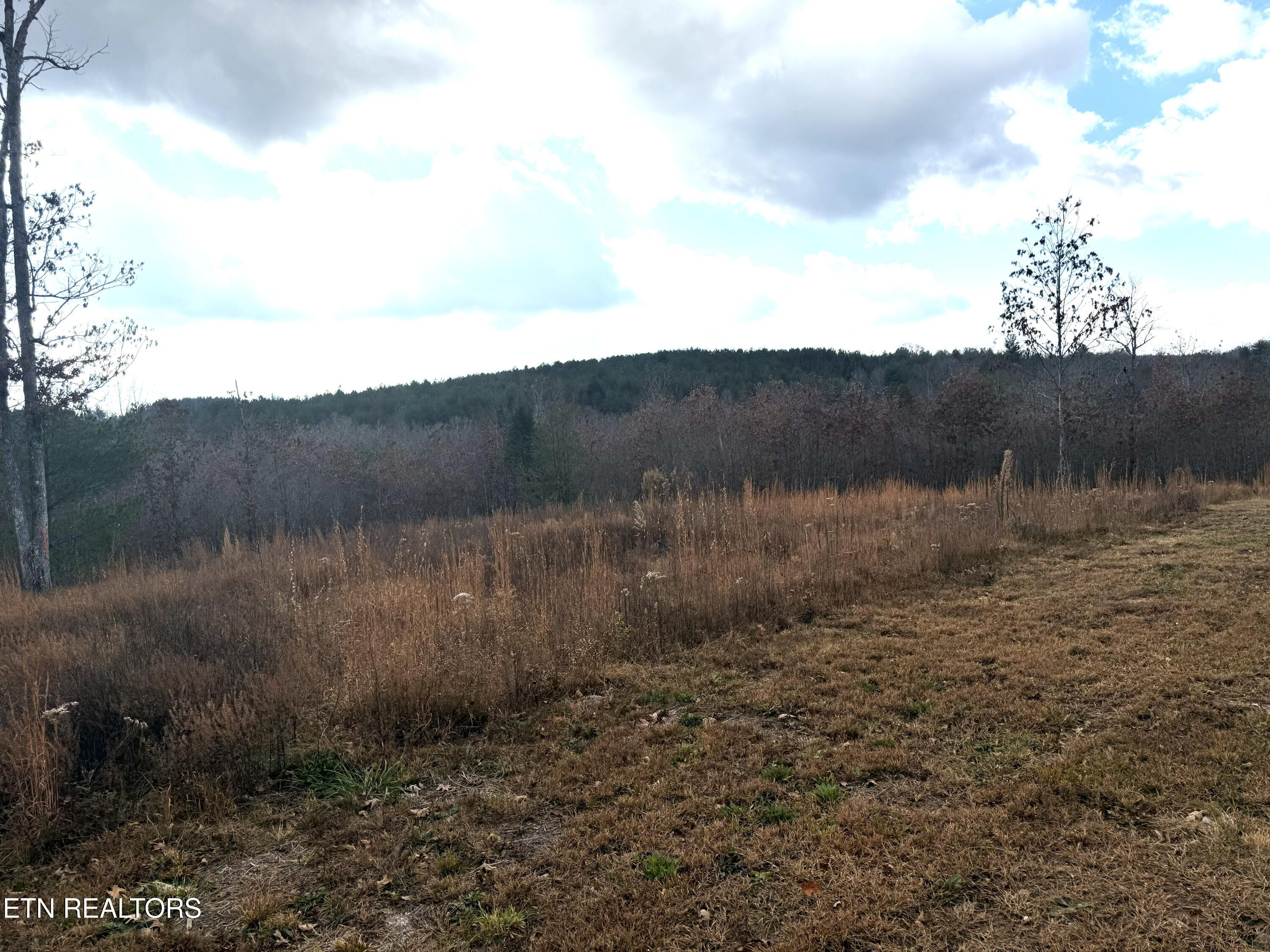 6.25 Acres Valerie Drive Deer Lodge TN 37726