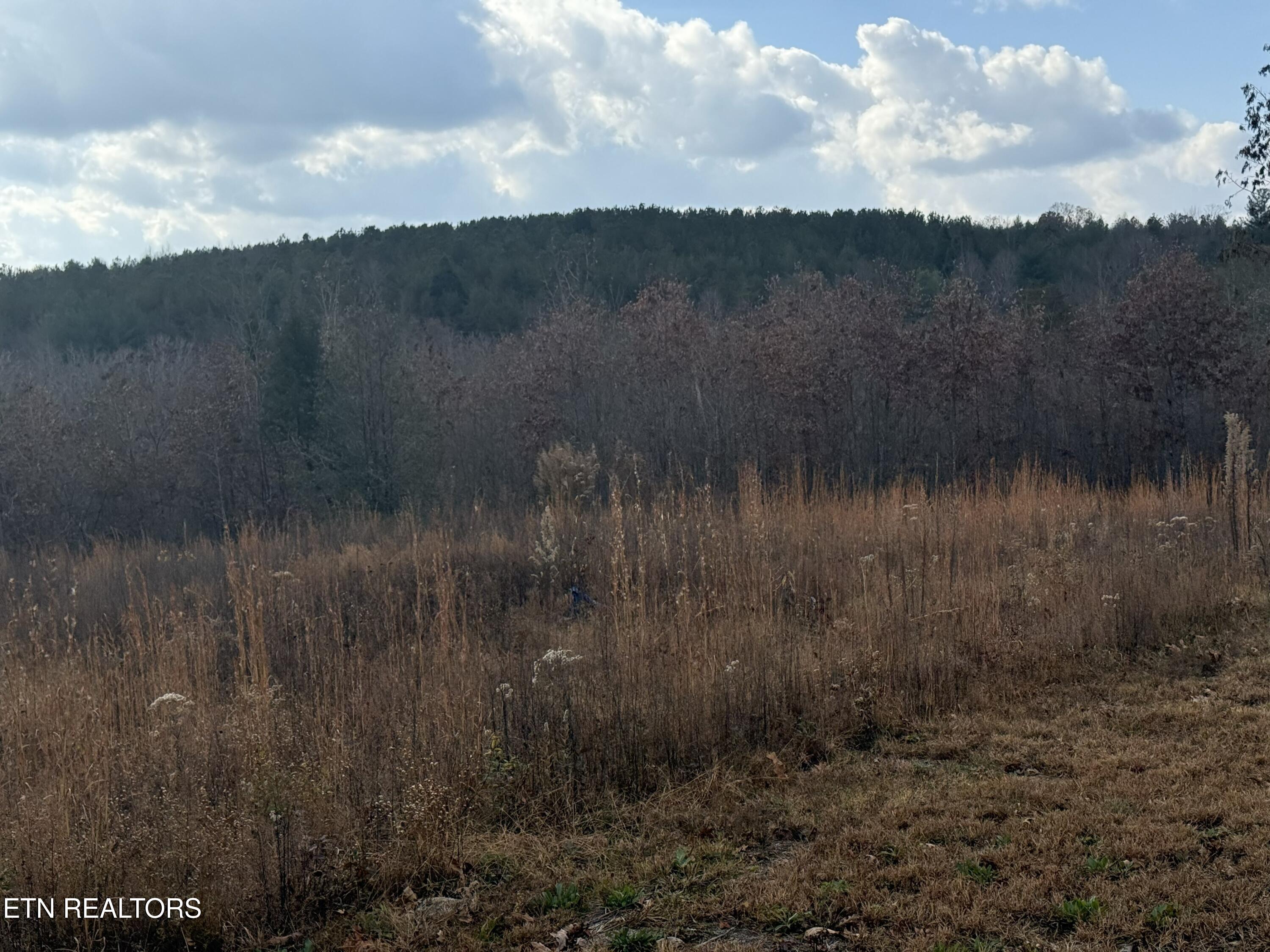 6.25 Acres Valerie Drive Deer Lodge TN 37726