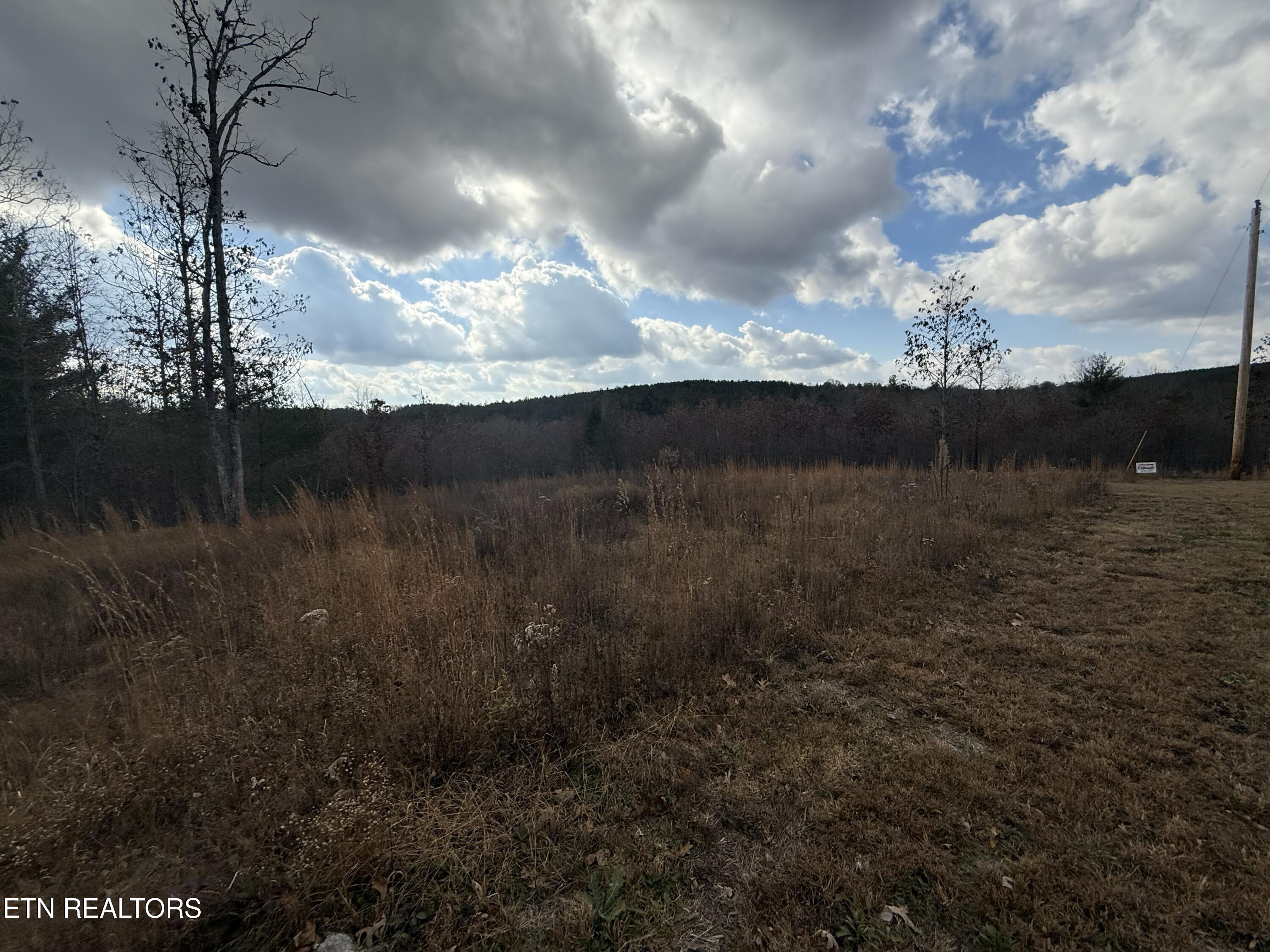 6.25 Acres Valerie Drive Deer Lodge TN 37726