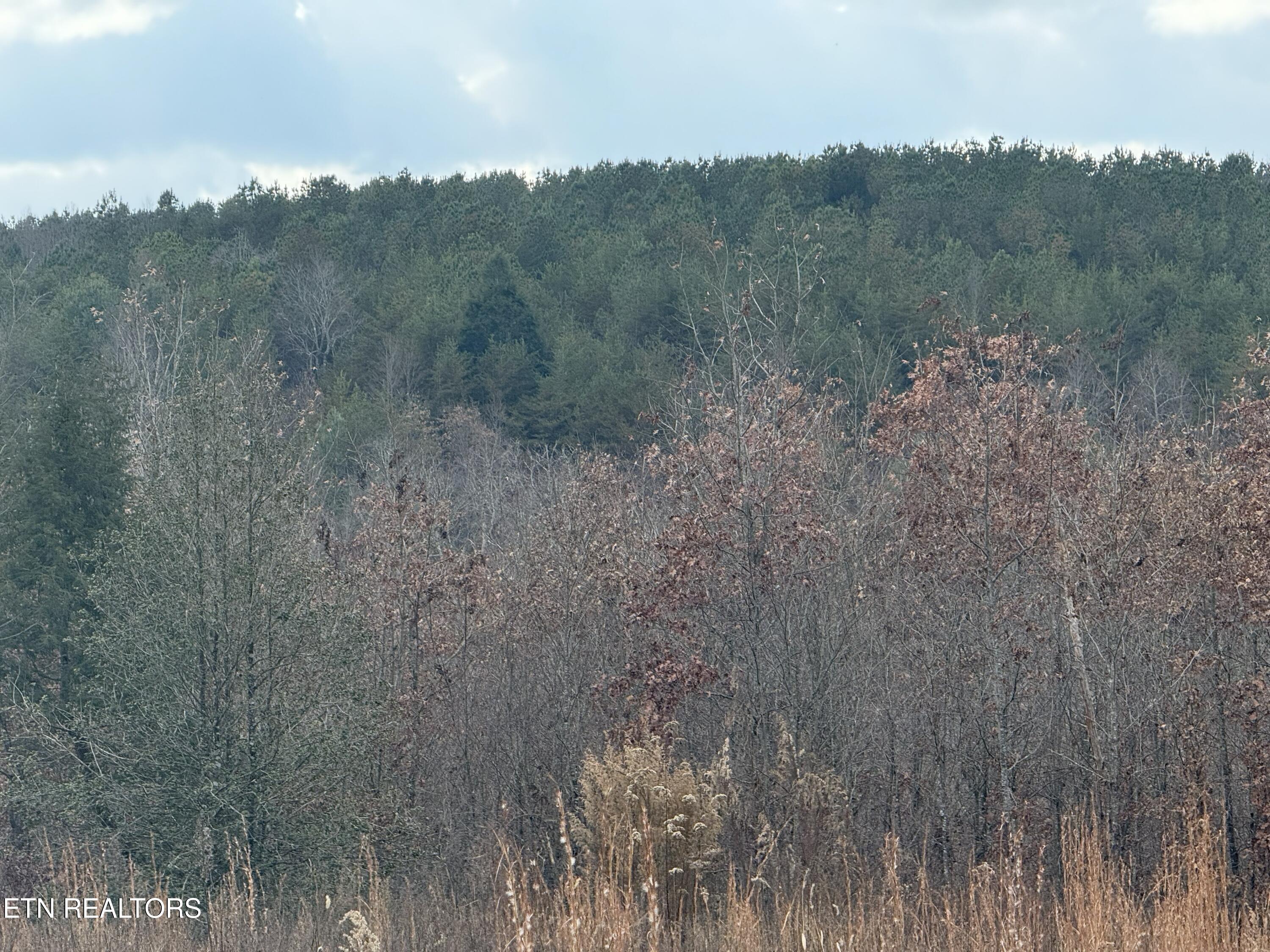 6.25 Acres Valerie Drive Deer Lodge TN 37726