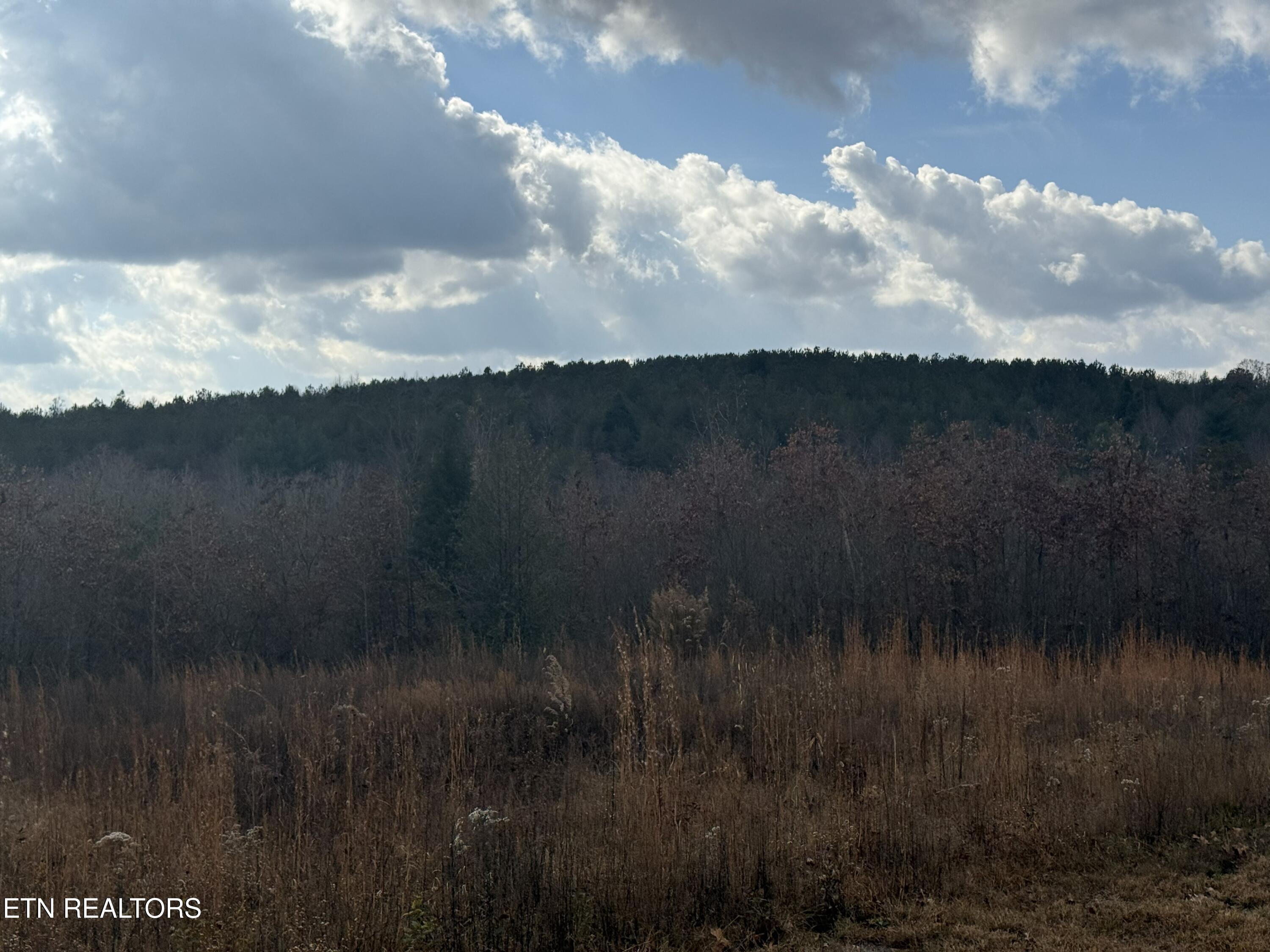 6.25 Acres Valerie Drive Deer Lodge TN 37726
