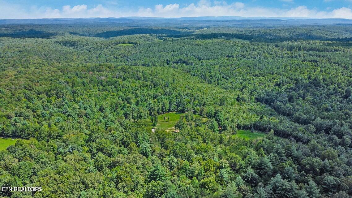 6.25 Acres Valerie Drive Deer Lodge TN 37726
