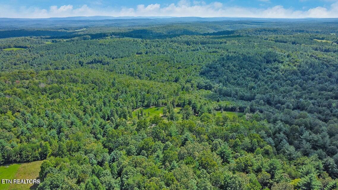 6.25 Acres Valerie Drive Deer Lodge TN 37726