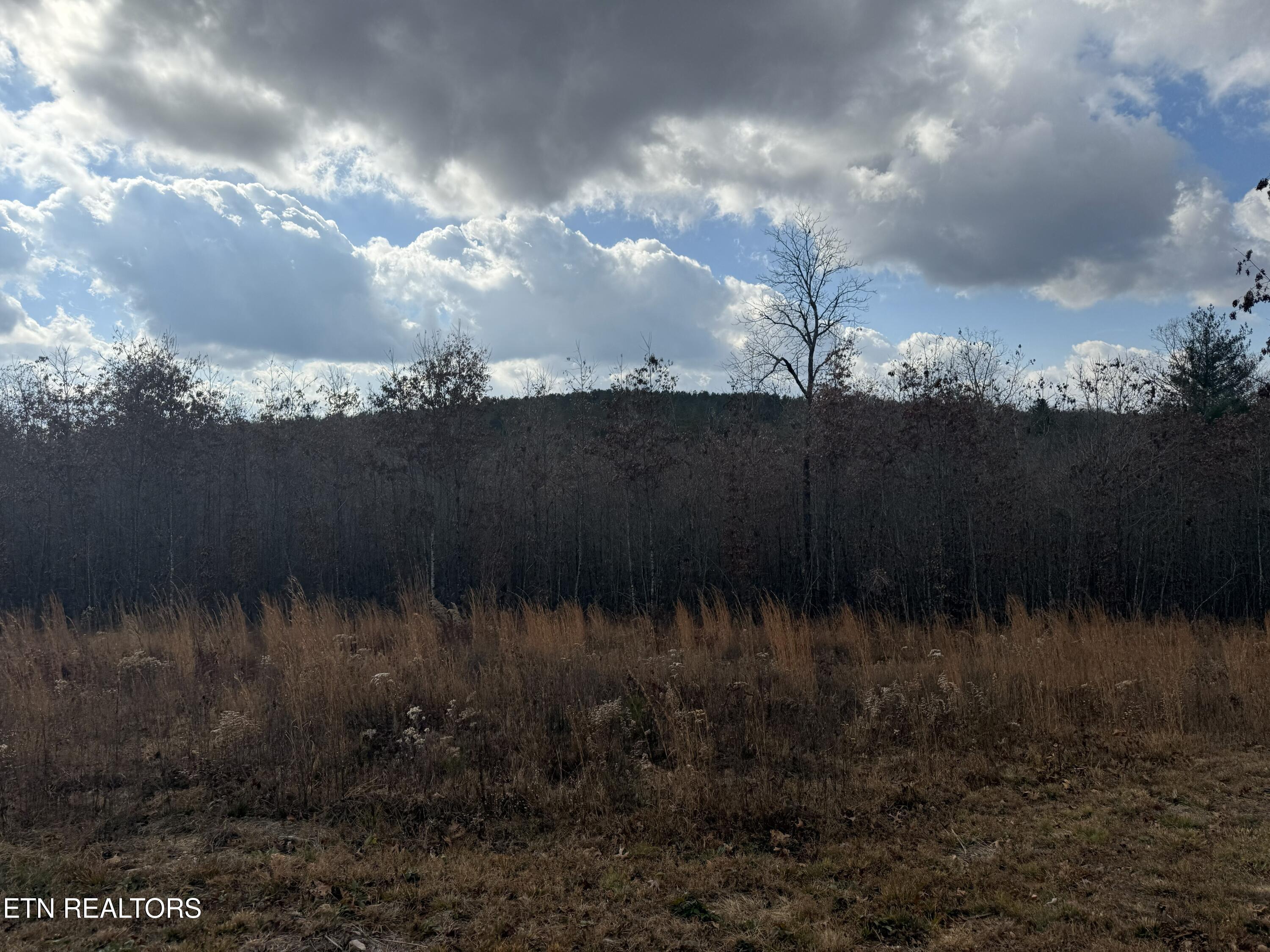 6.25 Acres Valerie Drive Deer Lodge TN 37726