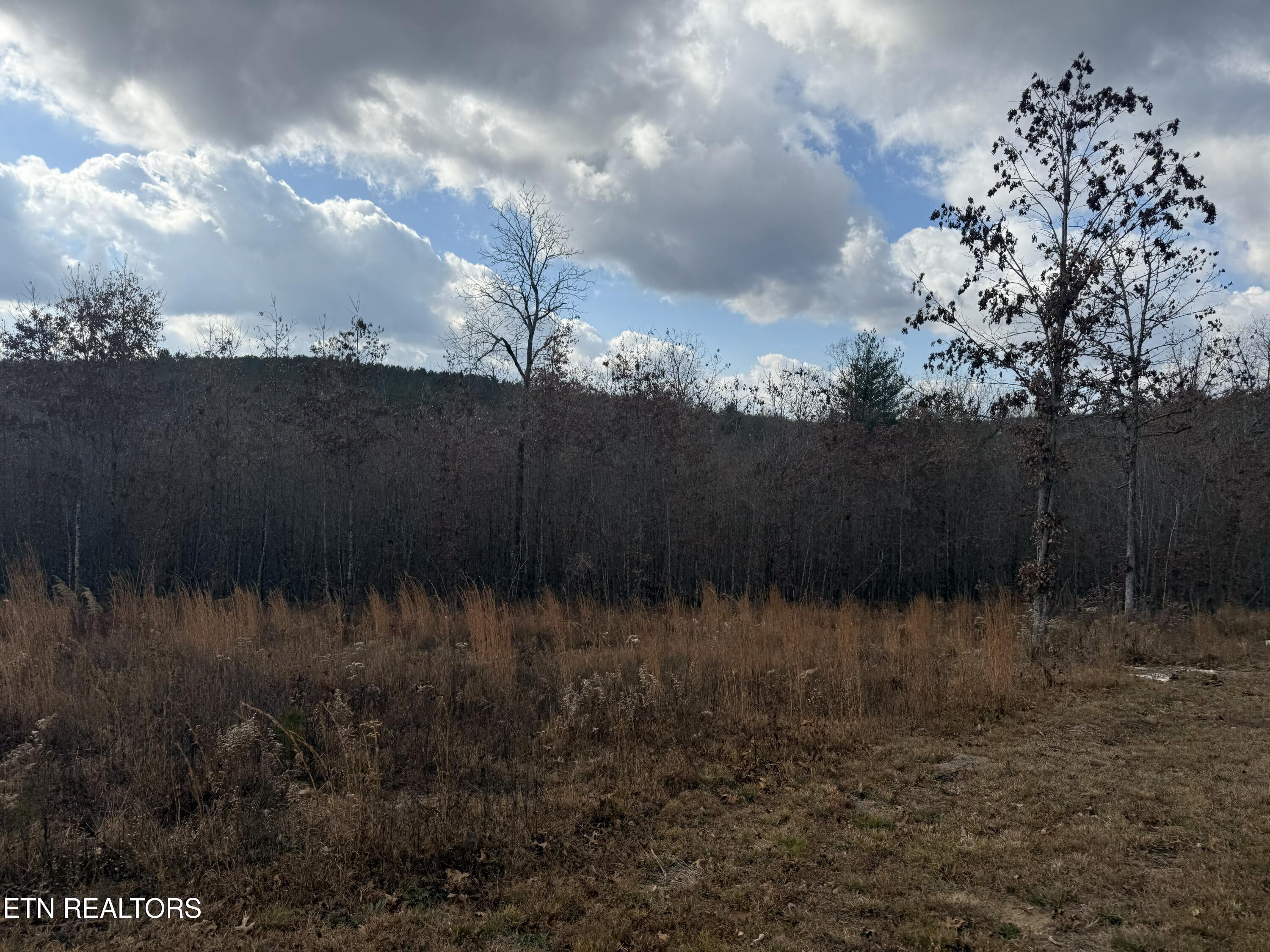 6.25 Acres Valerie Drive Deer Lodge TN 37726