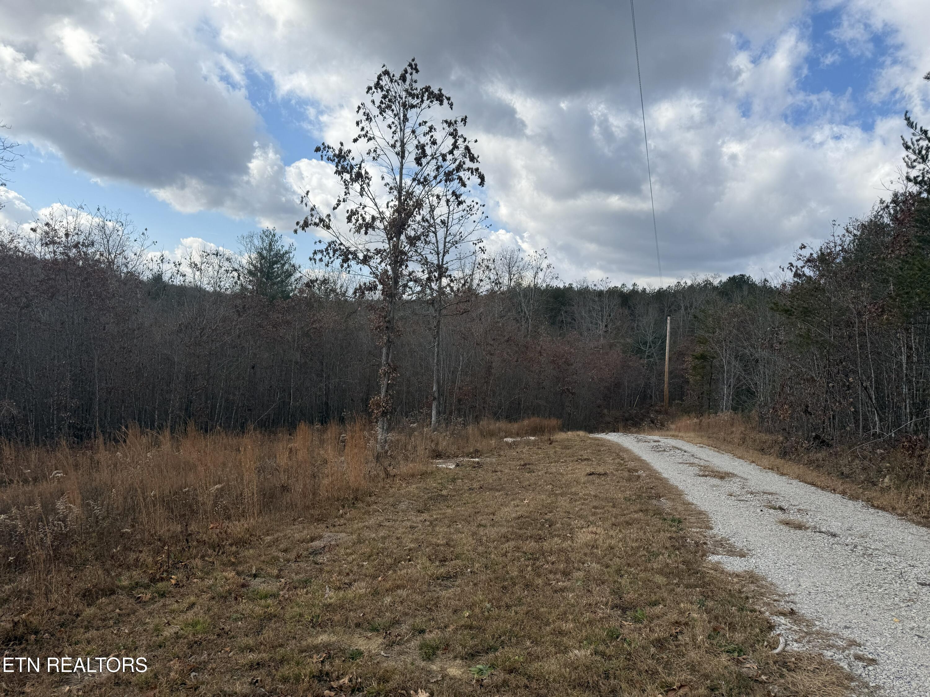 6.25 Acres Valerie Drive Deer Lodge TN 37726