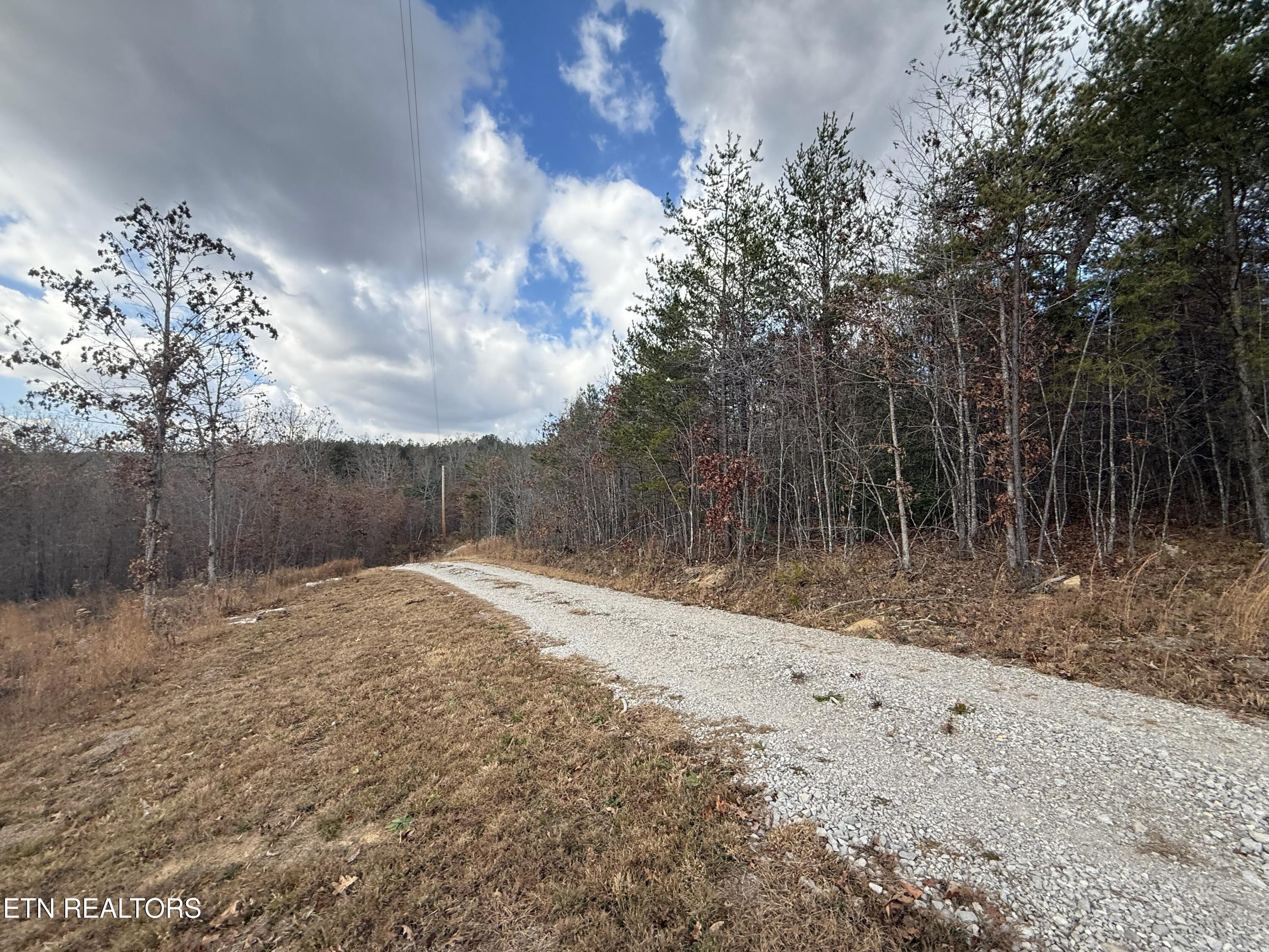 6.25 Acres Valerie Drive Deer Lodge TN 37726