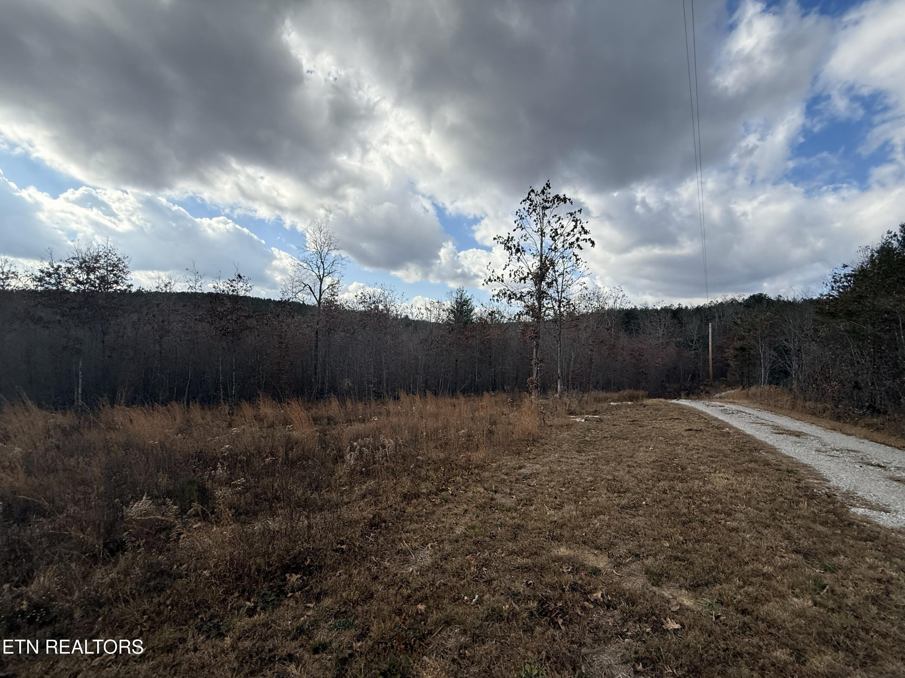 6.25 Acres Valerie Drive Deer Lodge TN 37726