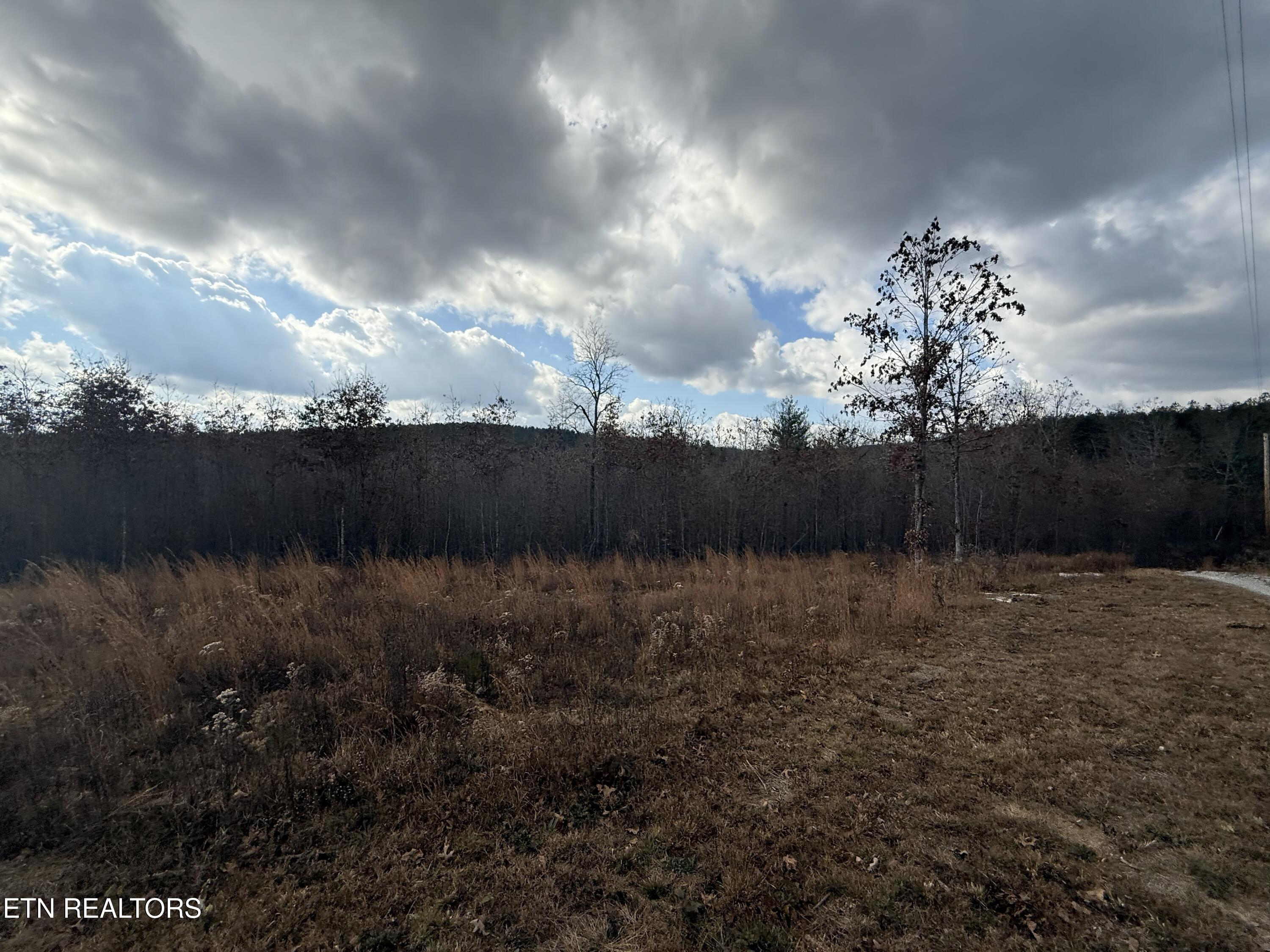 6.25 Acres Valerie Drive Deer Lodge TN 37726