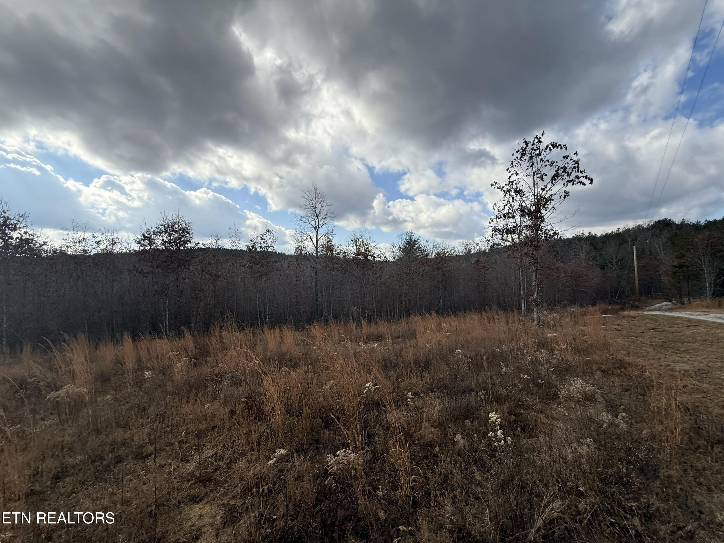 6.25 Acres Valerie Drive Deer Lodge TN 37726