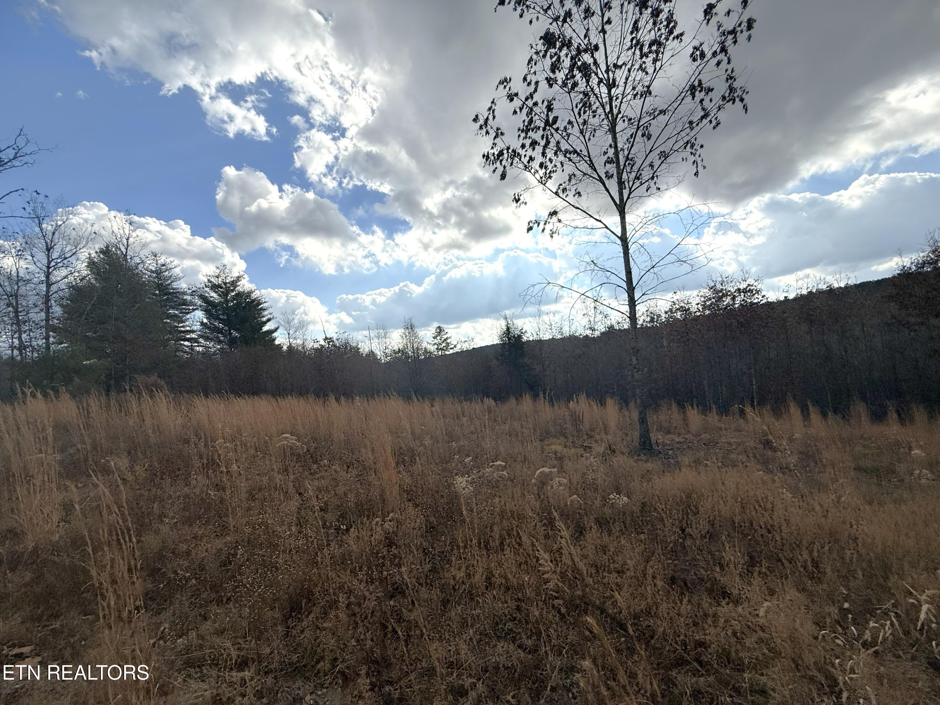 6.25 Acres Valerie Drive Deer Lodge TN 37726