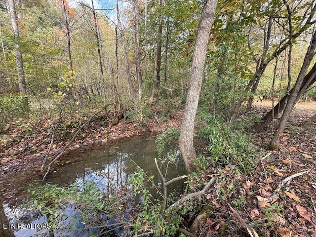 1446 Cove Lane Oliver Springs TN 37840
