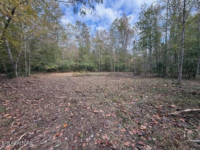 1446 Cove Lane Oliver Springs TN 37840