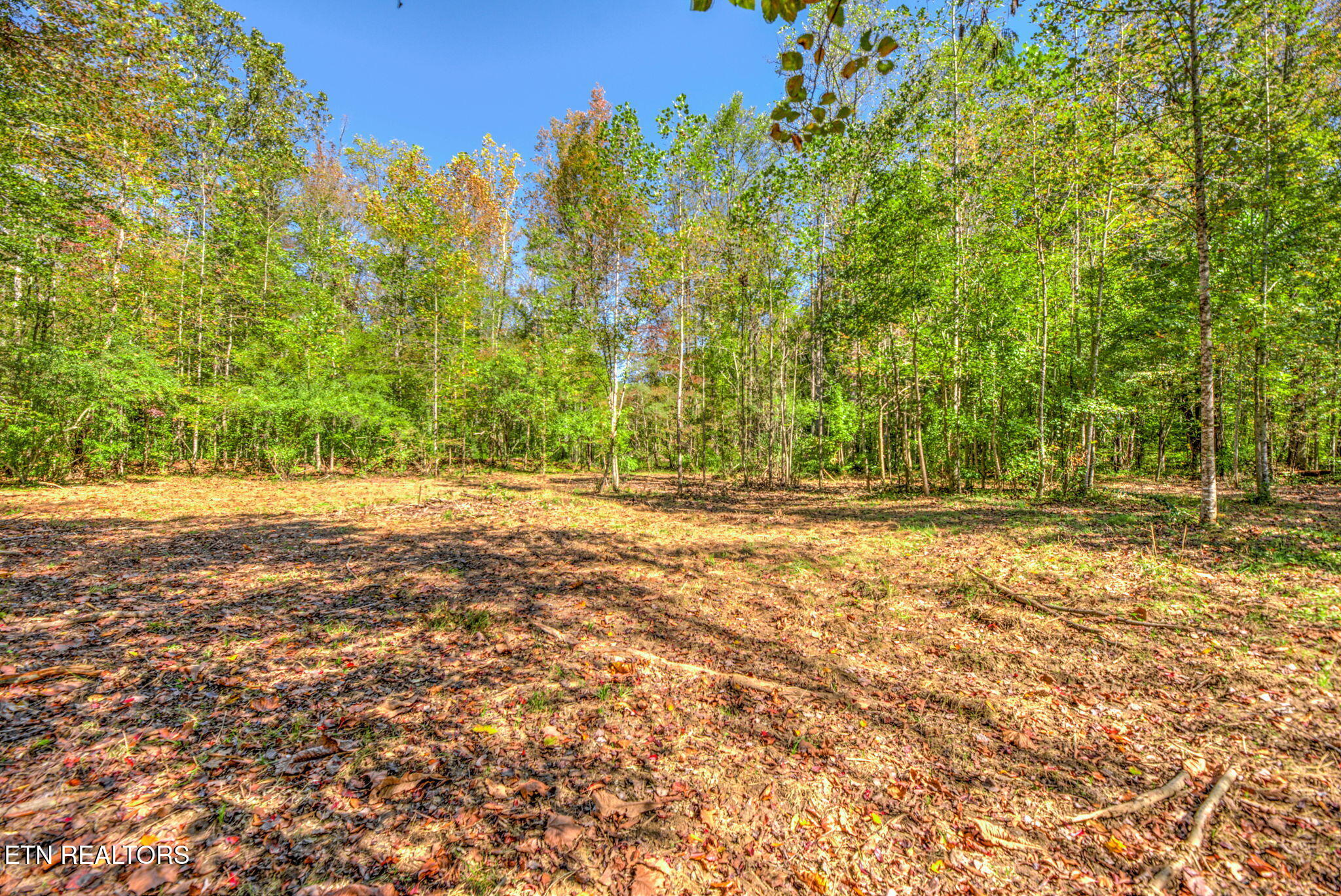 1446 Cove Lane Oliver Springs TN 37840