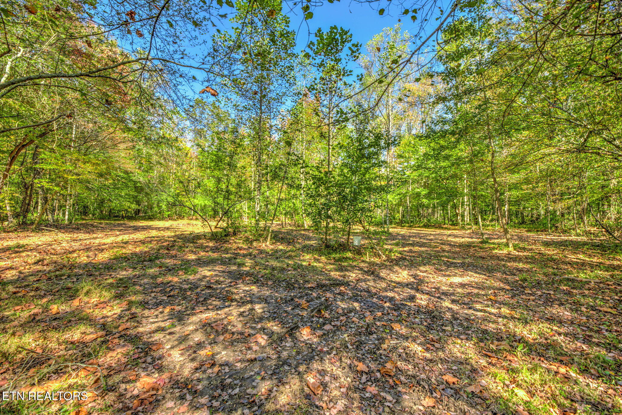 1446 Cove Lane Oliver Springs TN 37840