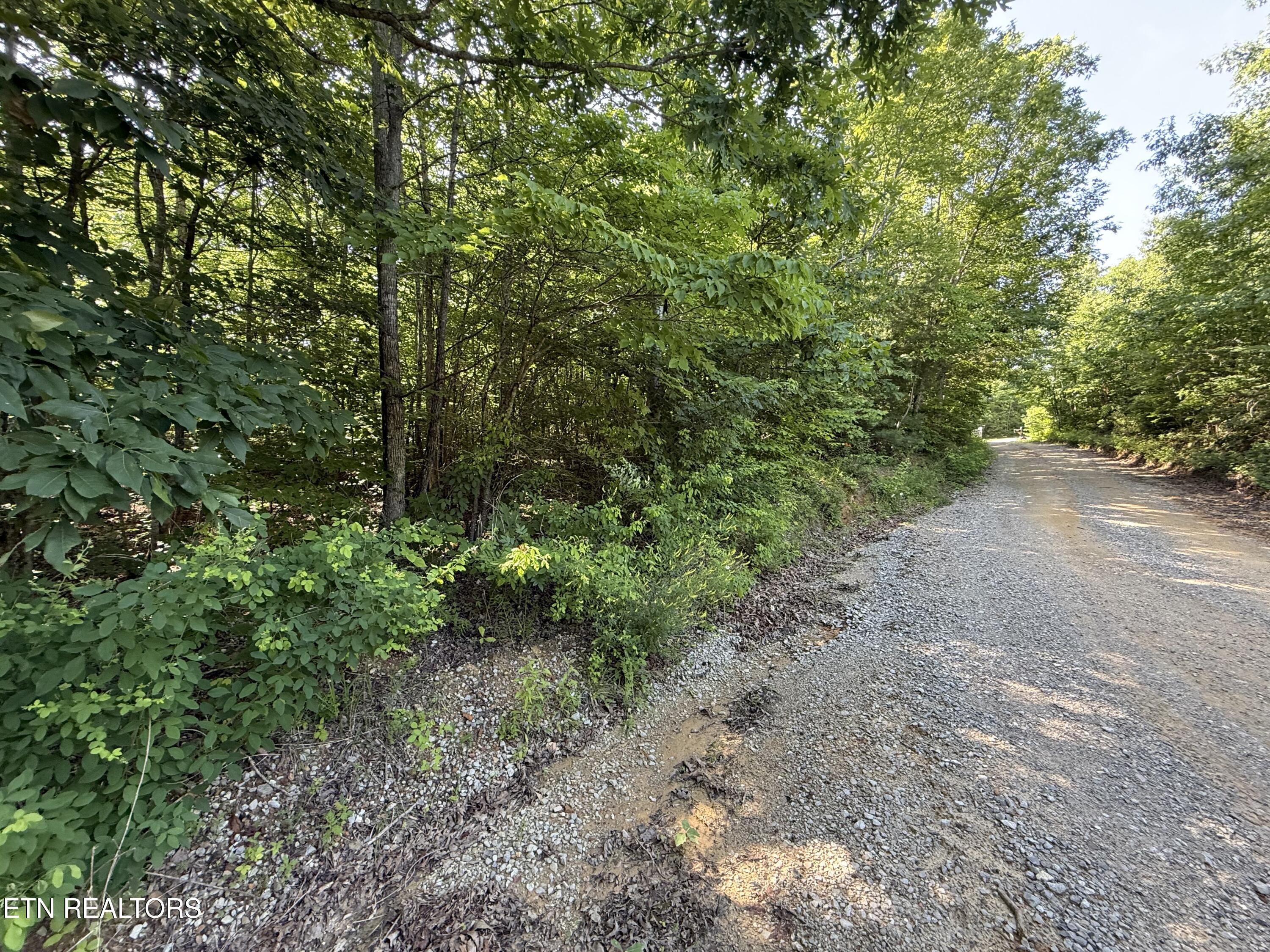 969 Lewallen Road Sunbright TN 37872