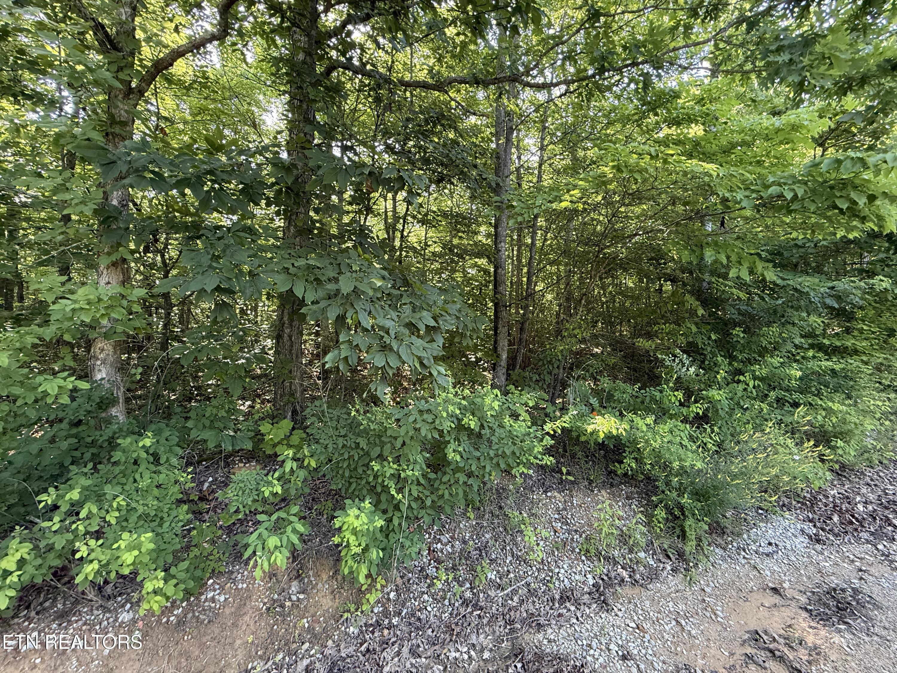 969 Lewallen Road Sunbright TN 37872