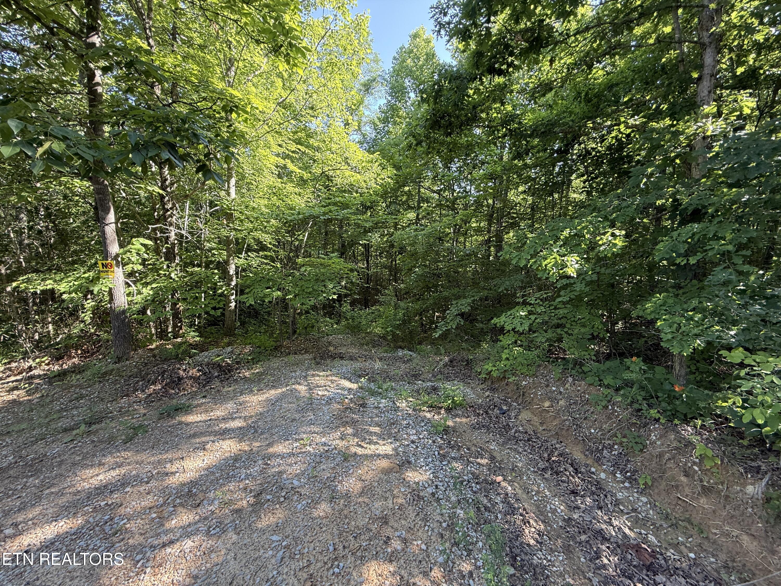 969 Lewallen Road Sunbright TN 37872