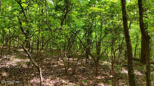 Lot 34/38a Crowe Circle Soddy-daisy TN 37379