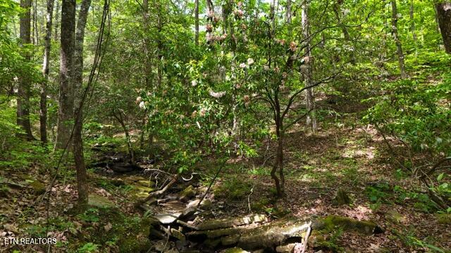 Lot 34/38a Crowe Circle Soddy-daisy TN 37379