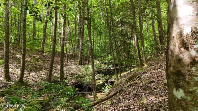 Lot 34/38a Crowe Circle Soddy-daisy TN 37379