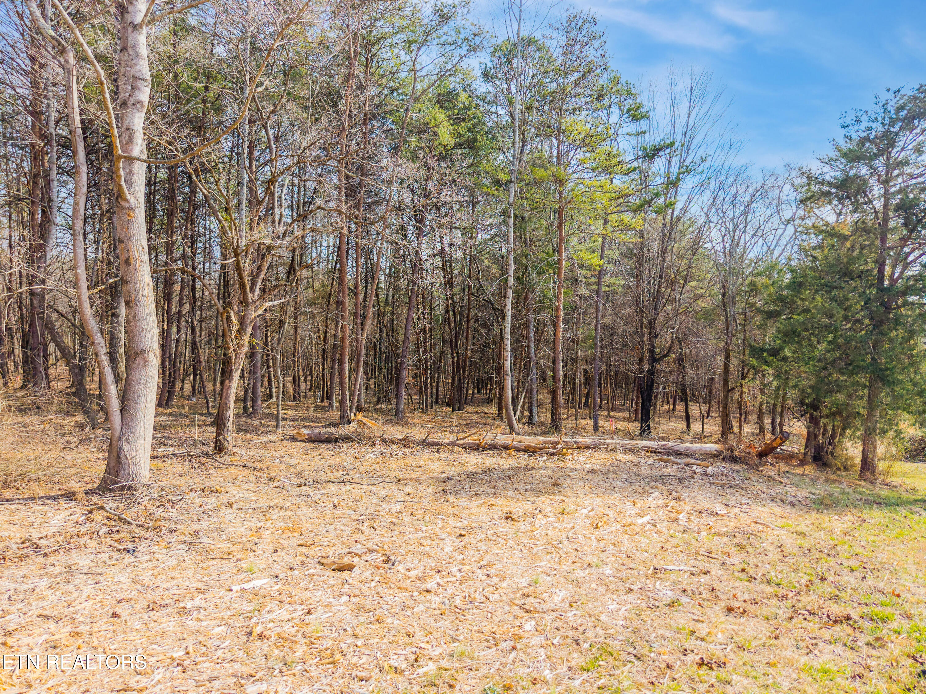 County Road 260 Niota TN 37826