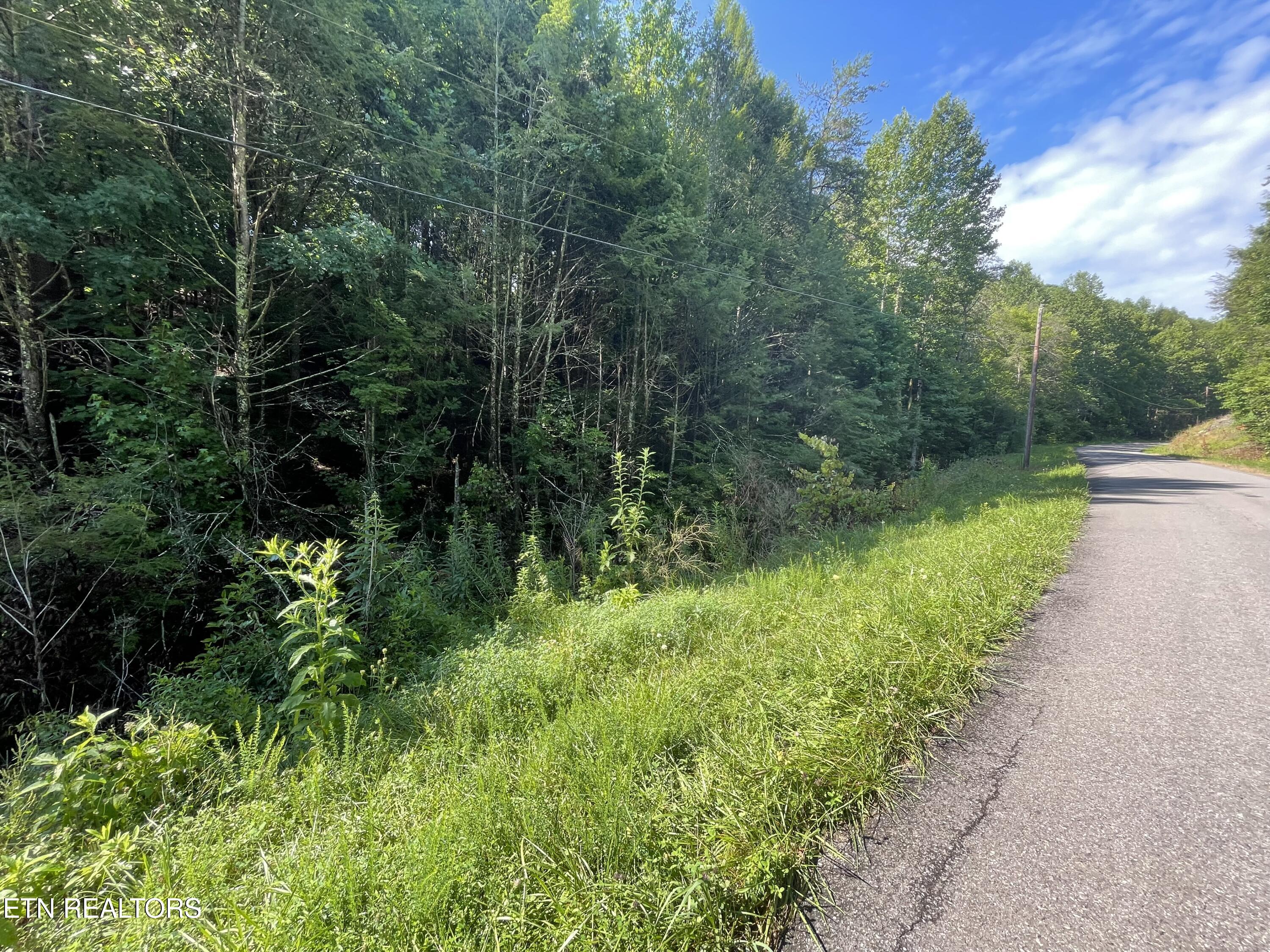 3 Point Road Lots 7,8,9 Vonore TN 37885