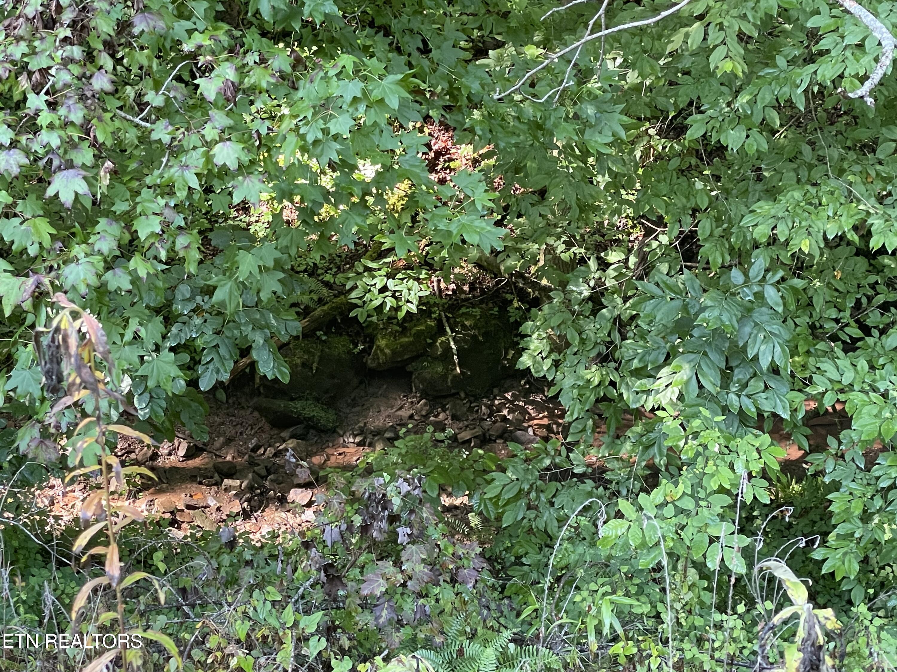 3 Point Road Lots 7,8,9 Vonore TN 37885