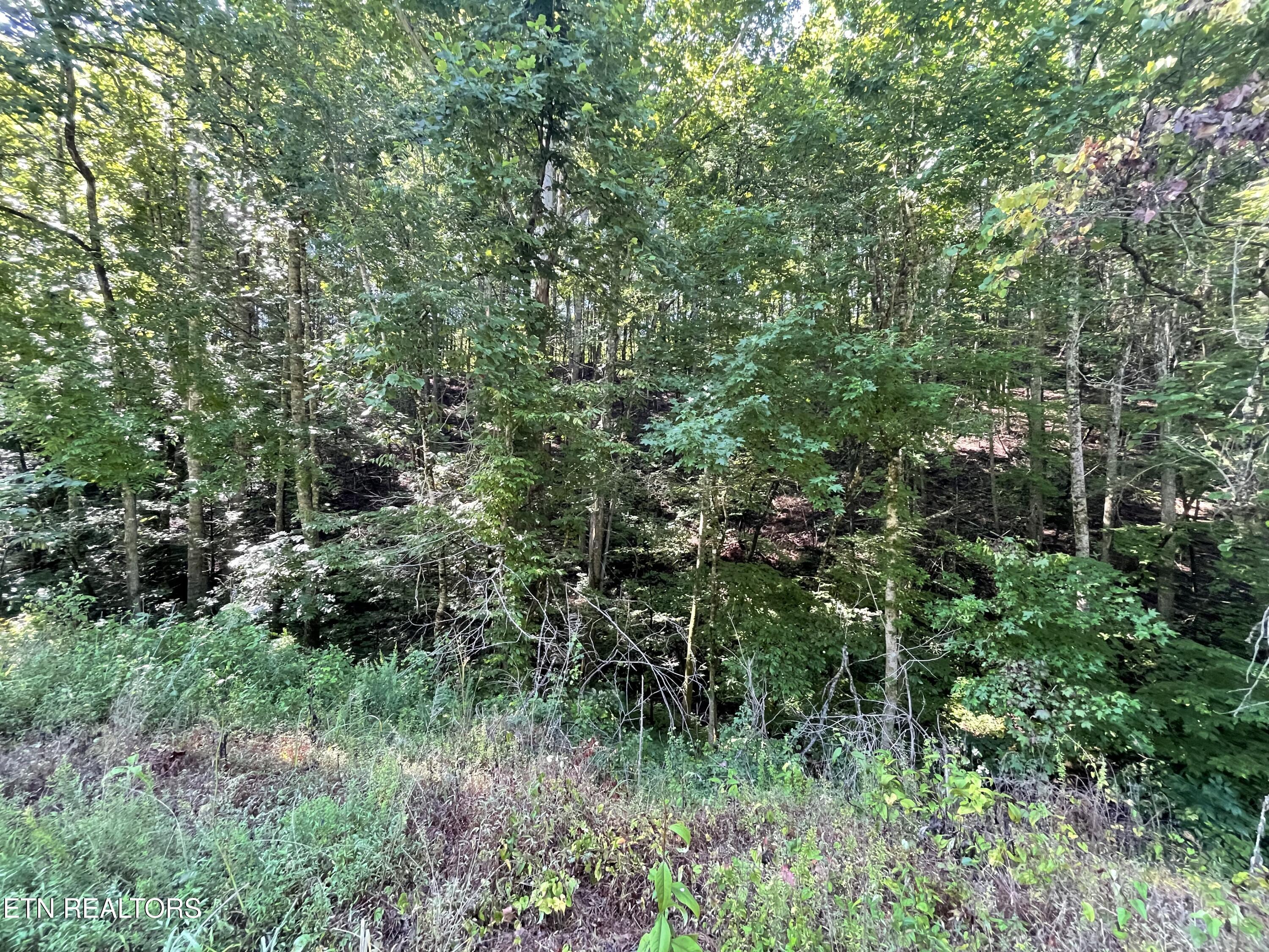 3 Point Road Lots 7,8,9 Vonore TN 37885