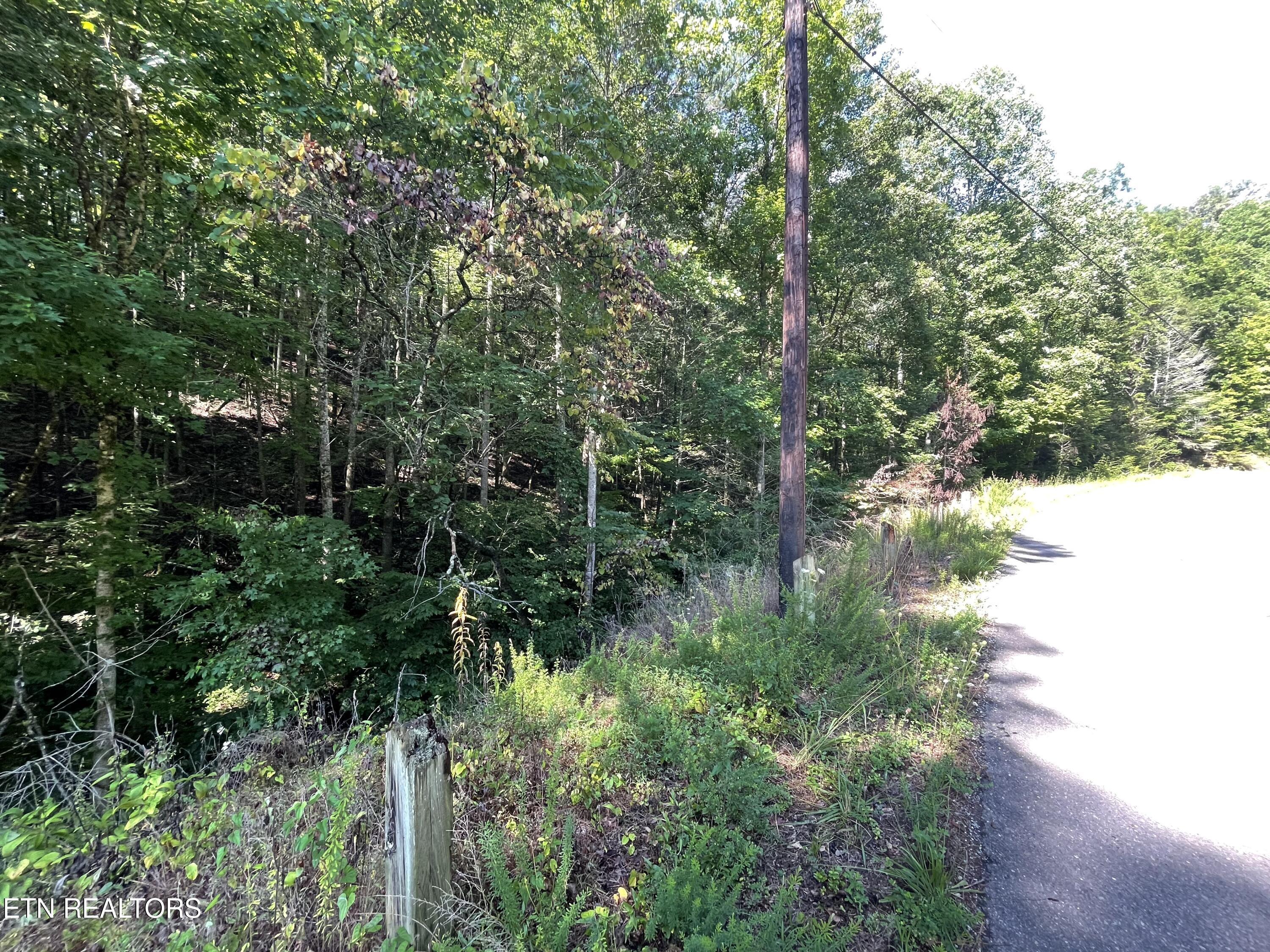 3 Point Road Lots 7,8,9 Vonore TN 37885