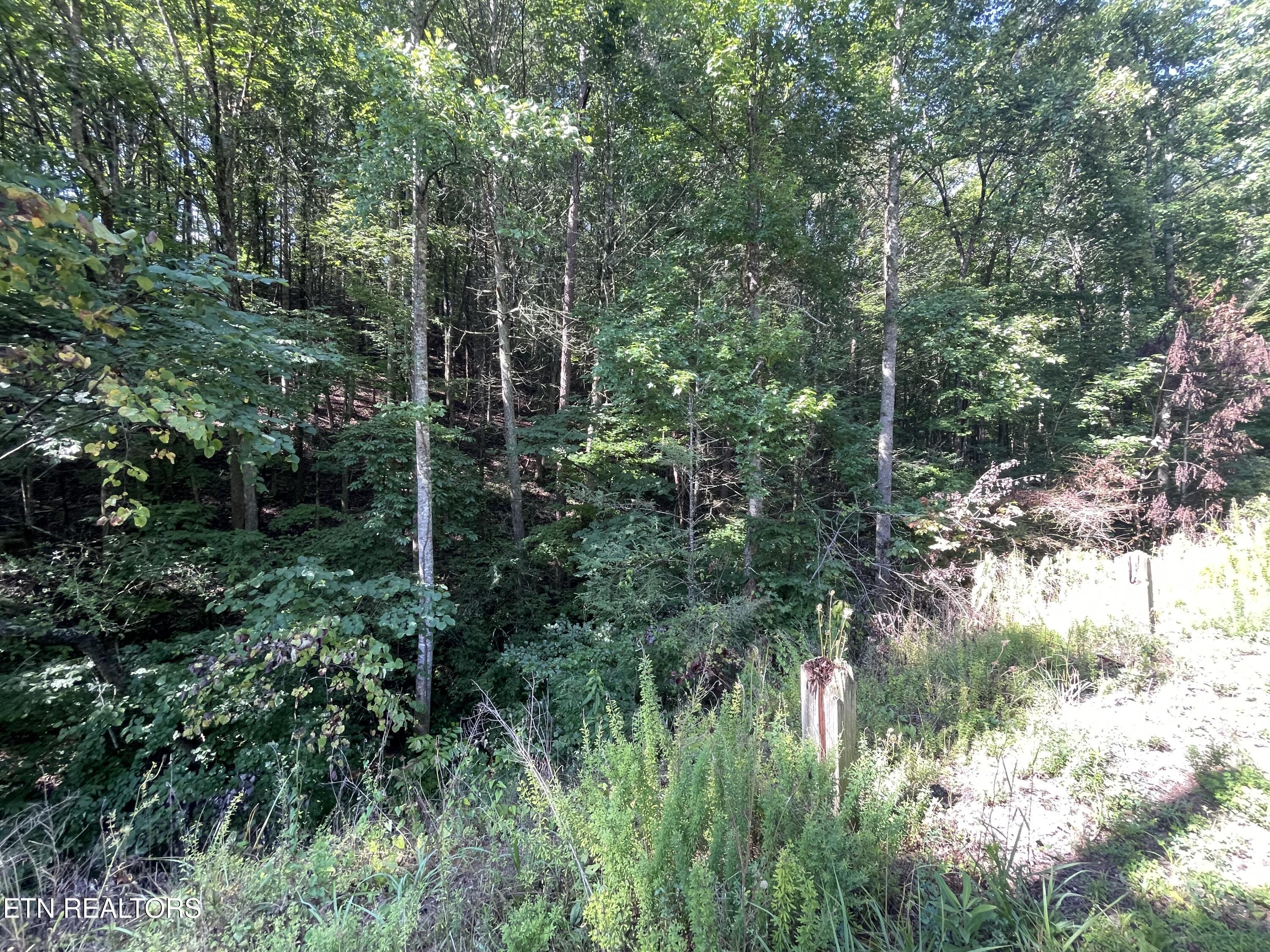 3 Point Road Lots 7,8,9 Vonore TN 37885