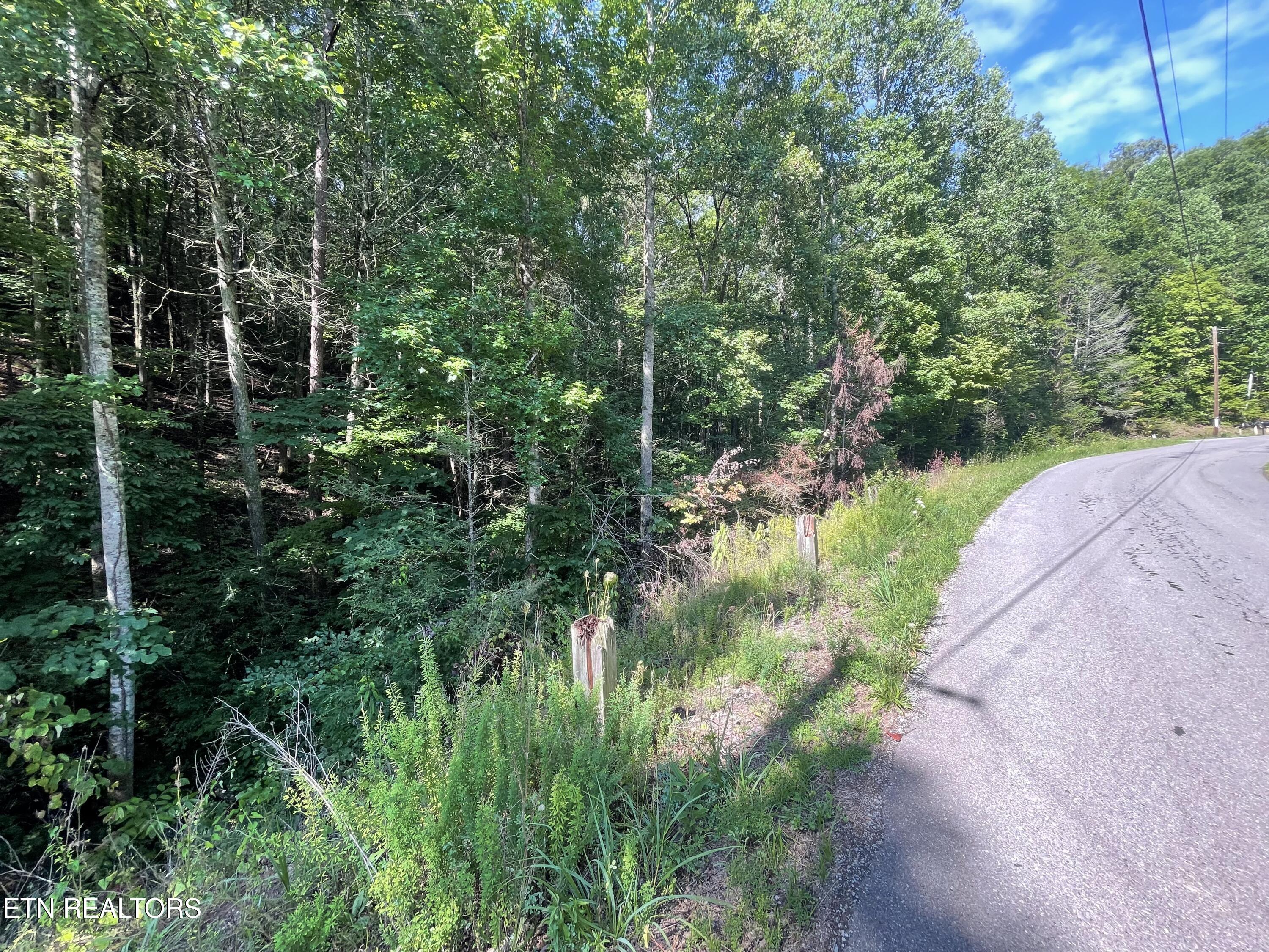 3 Point Road Lots 7,8,9 Vonore TN 37885