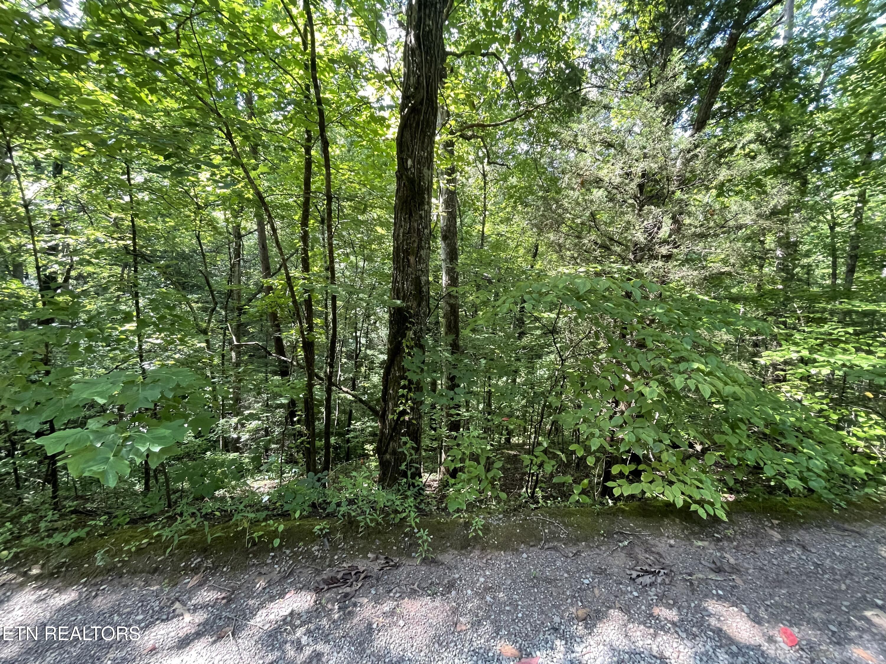 3 Point Road Lots 7,8,9 Vonore TN 37885