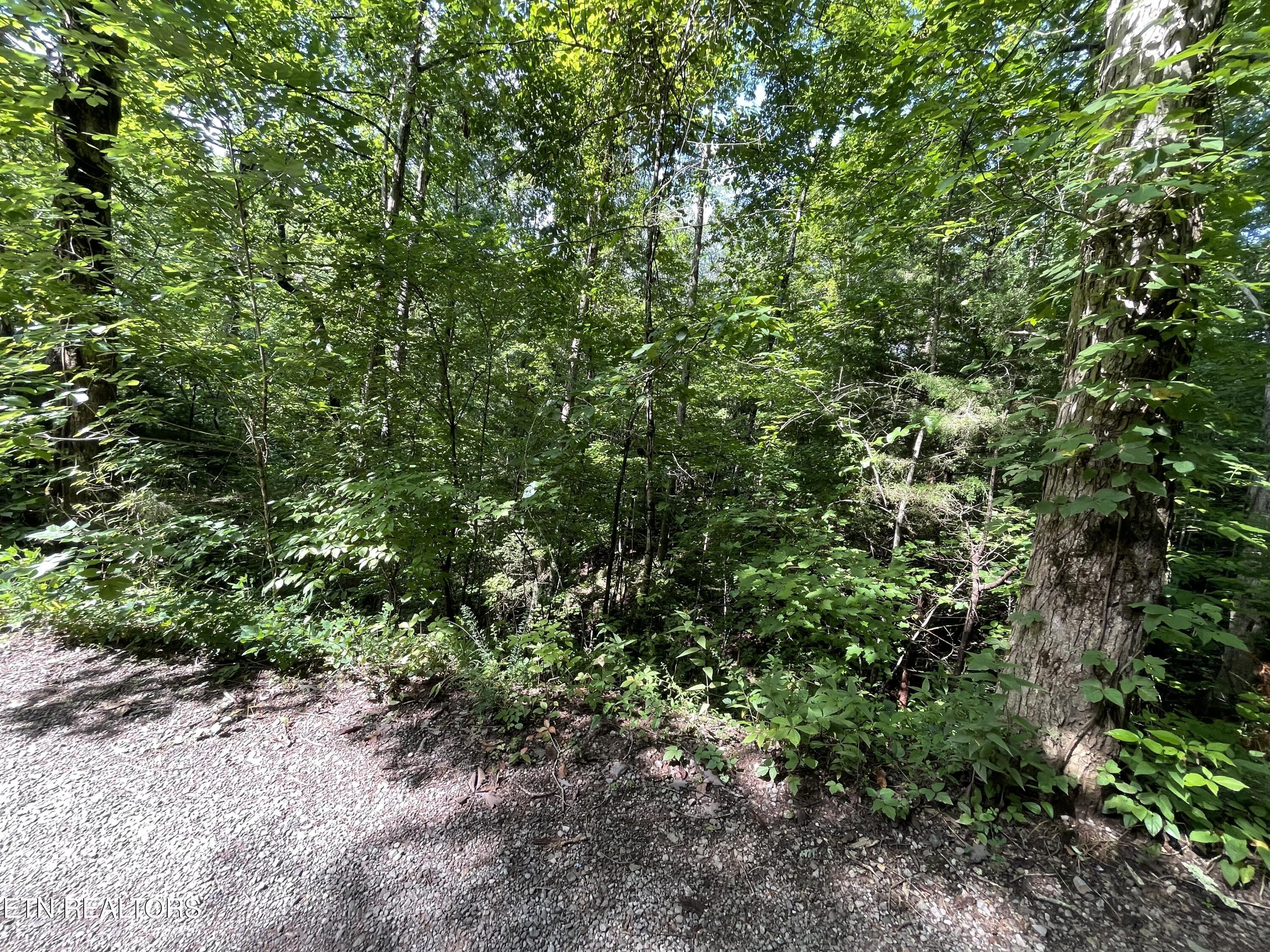 3 Point Road Lots 7,8,9 Vonore TN 37885