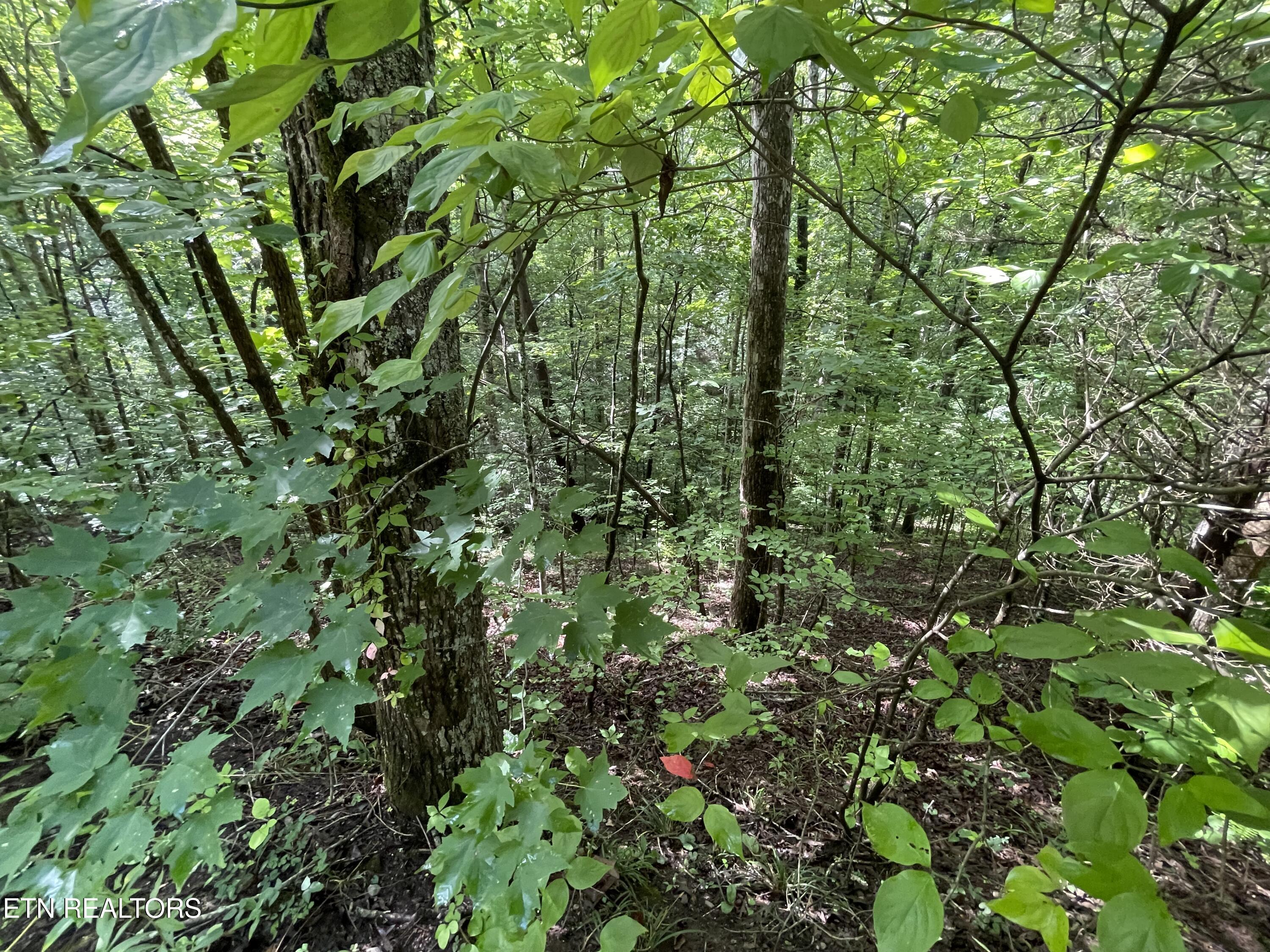 3 Point Road Lots 7,8,9 Vonore TN 37885