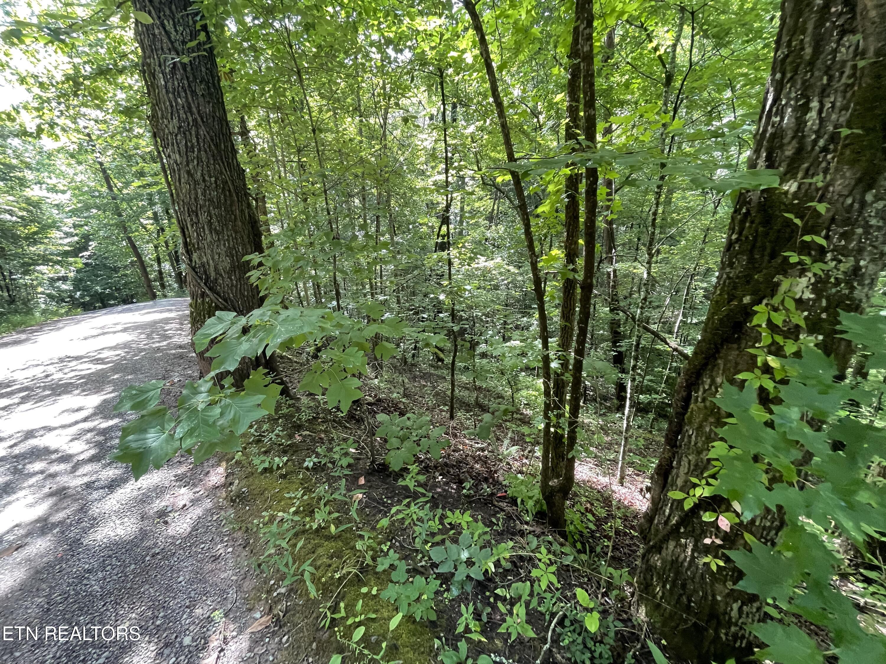 3 Point Road Lots 7,8,9 Vonore TN 37885