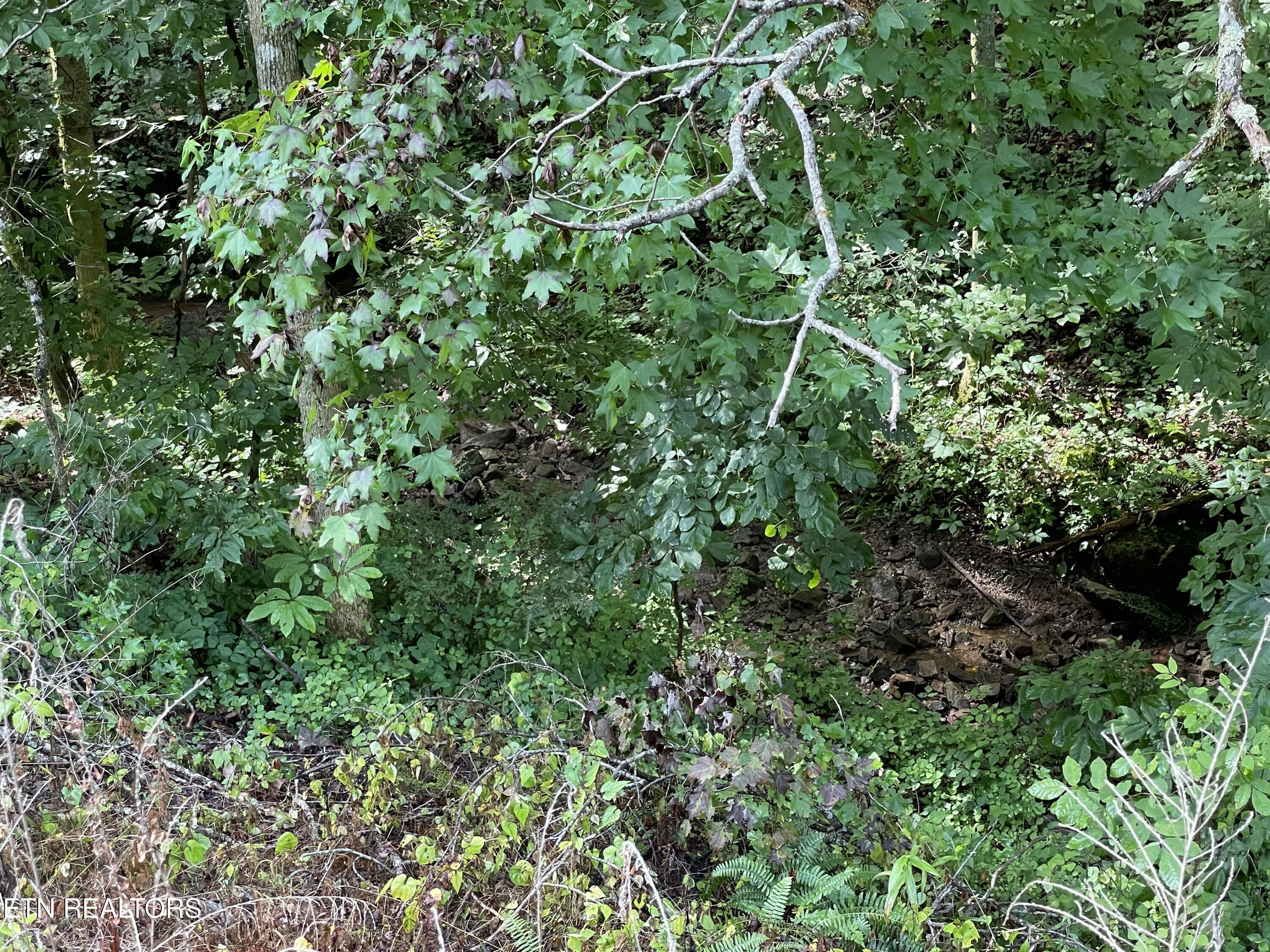 3 Point Road Lots 7,8,9 Vonore TN 37885