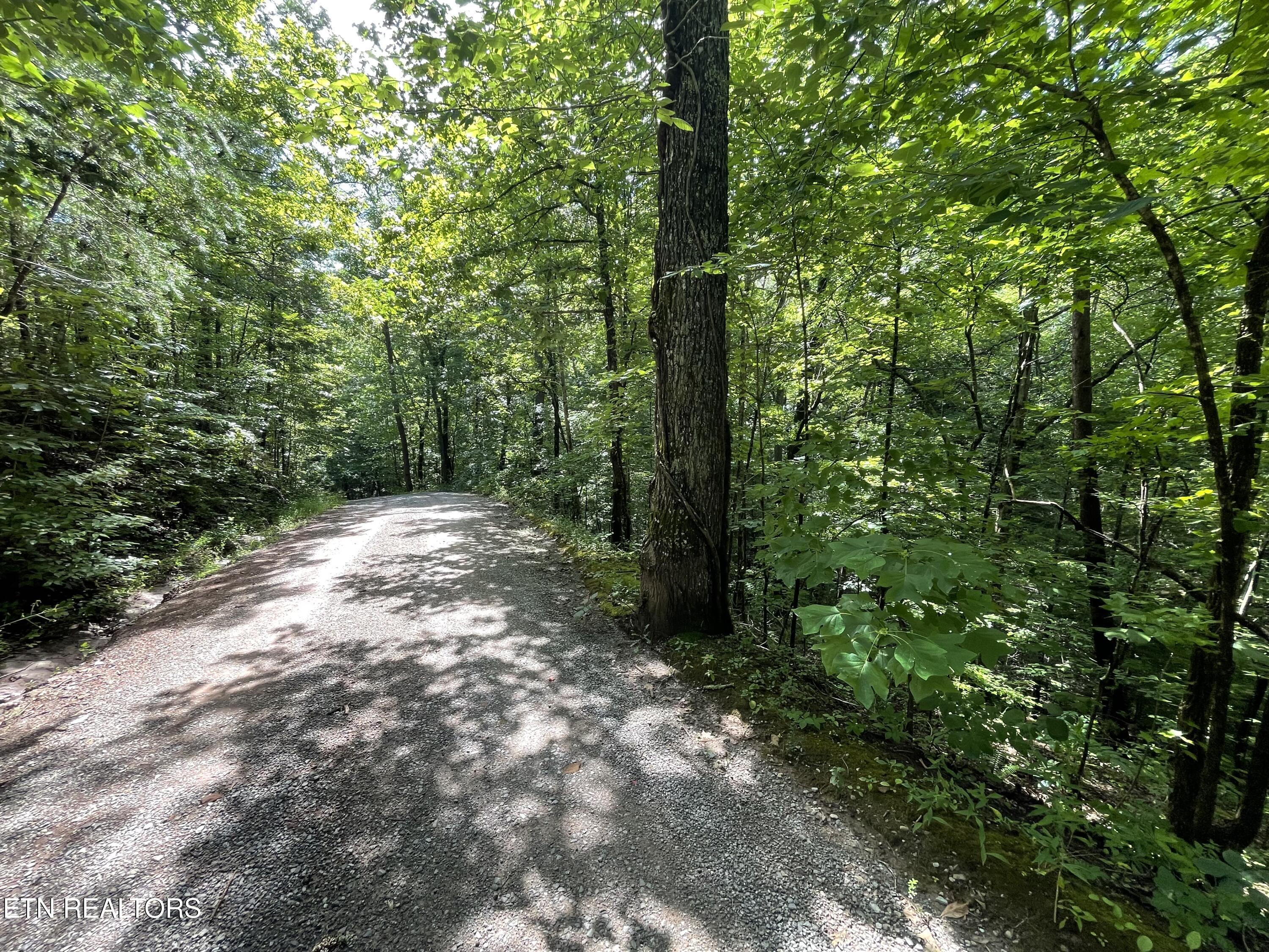 3 Point Road Lots 7,8,9 Vonore TN 37885