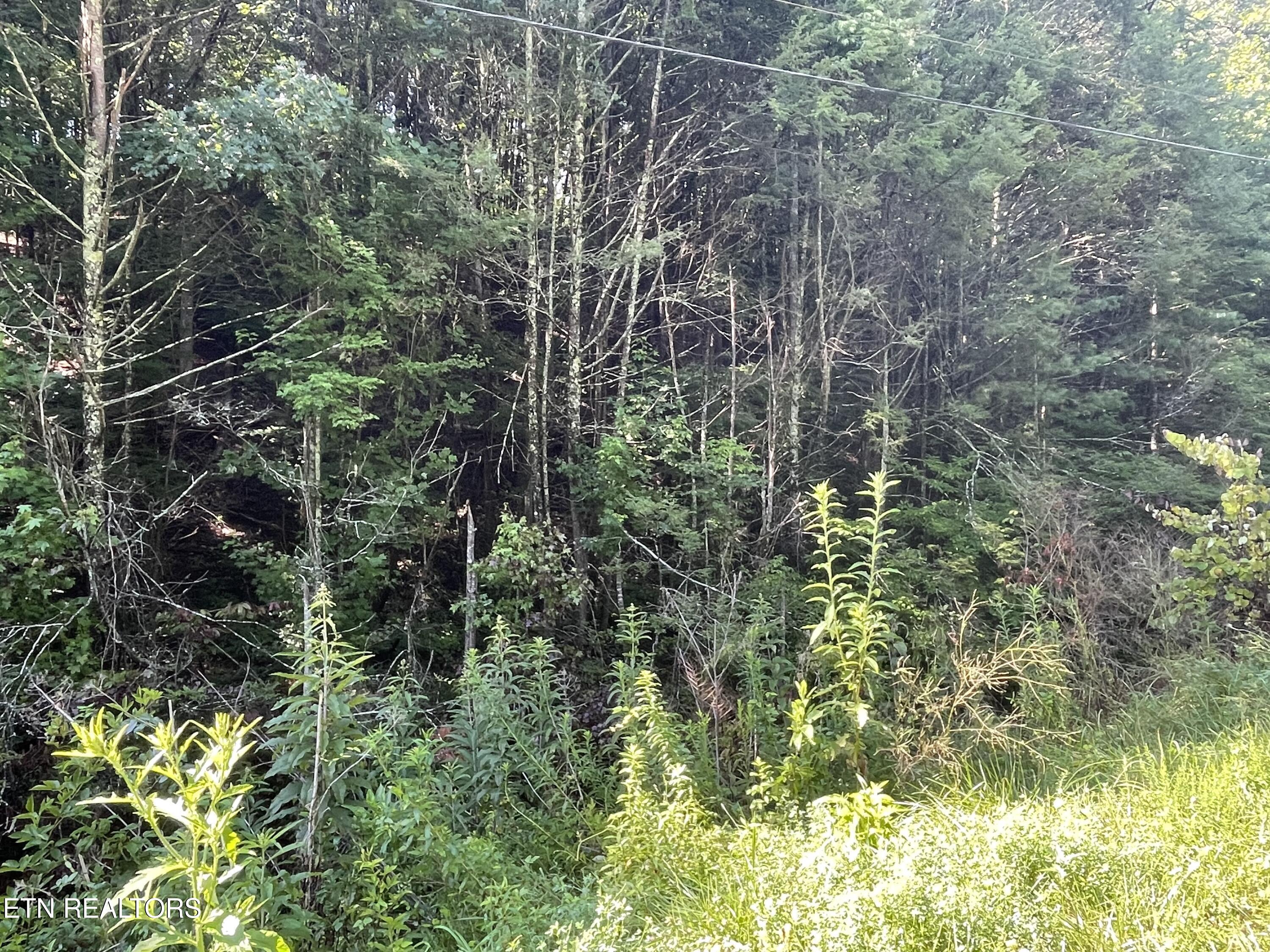 3 Point Road Lots 7,8,9 Vonore TN 37885