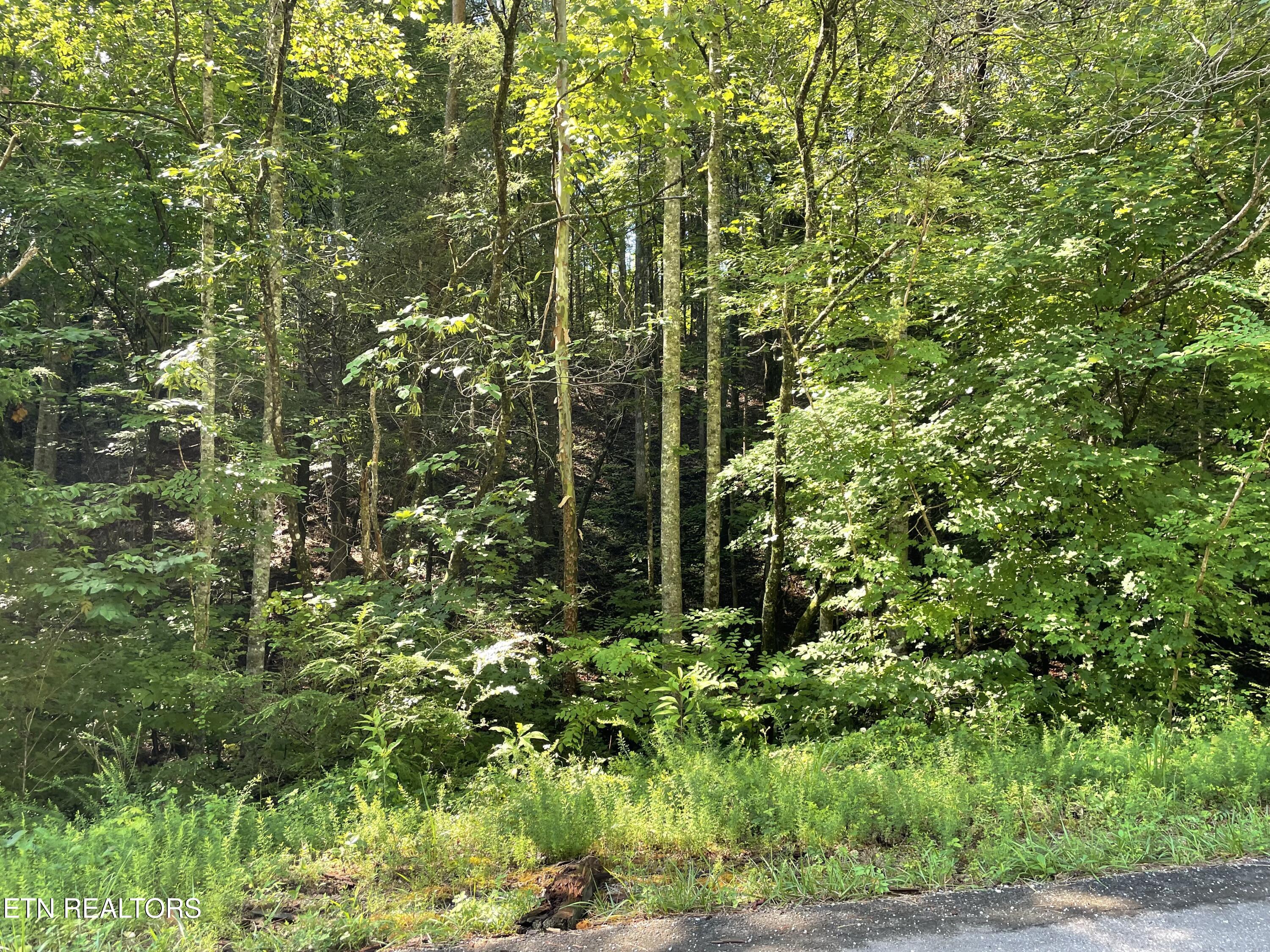 3 Point Road Lots 7,8,9 Vonore TN 37885