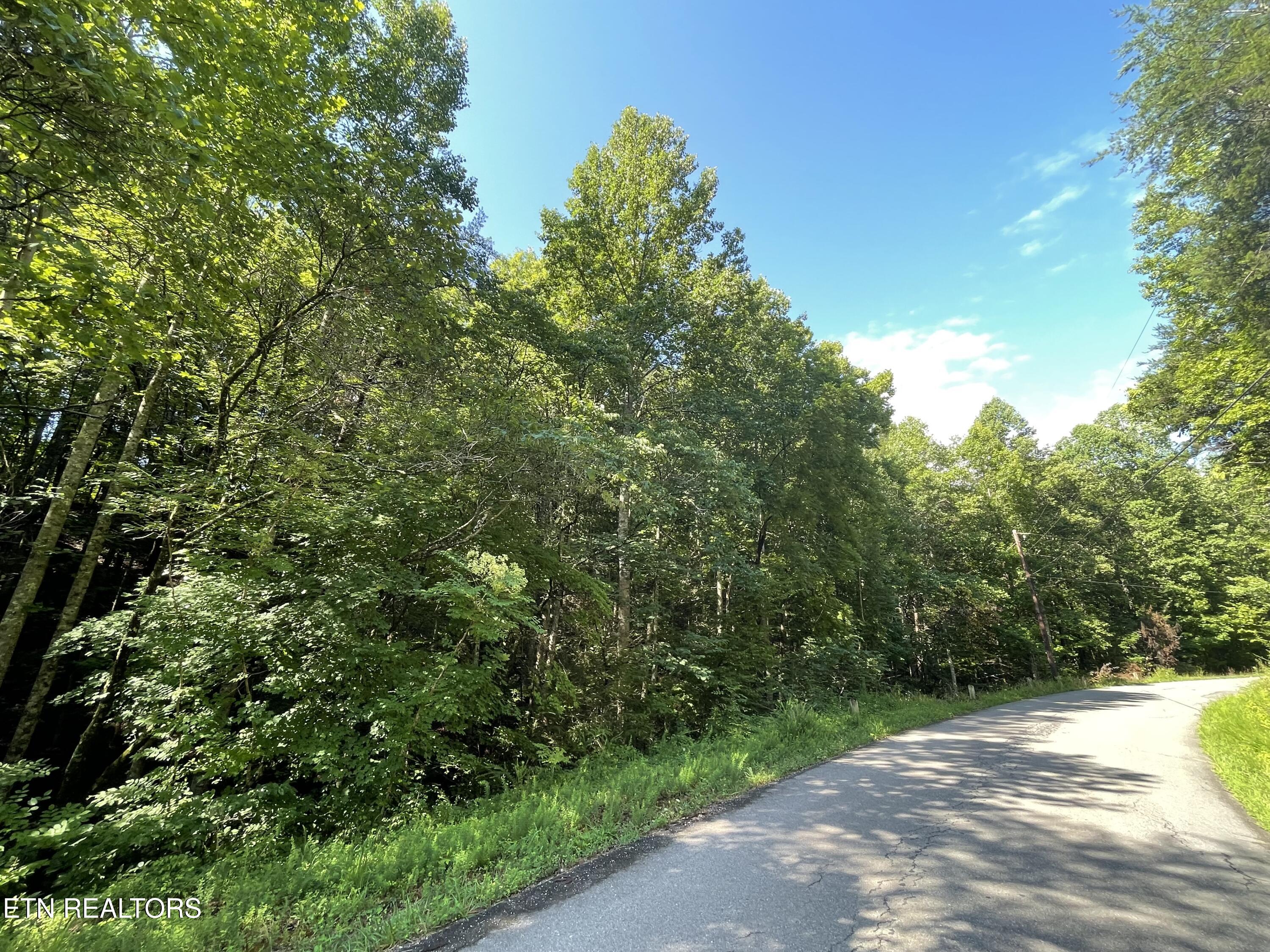 3 Point Road Lots 7,8,9 Vonore TN 37885