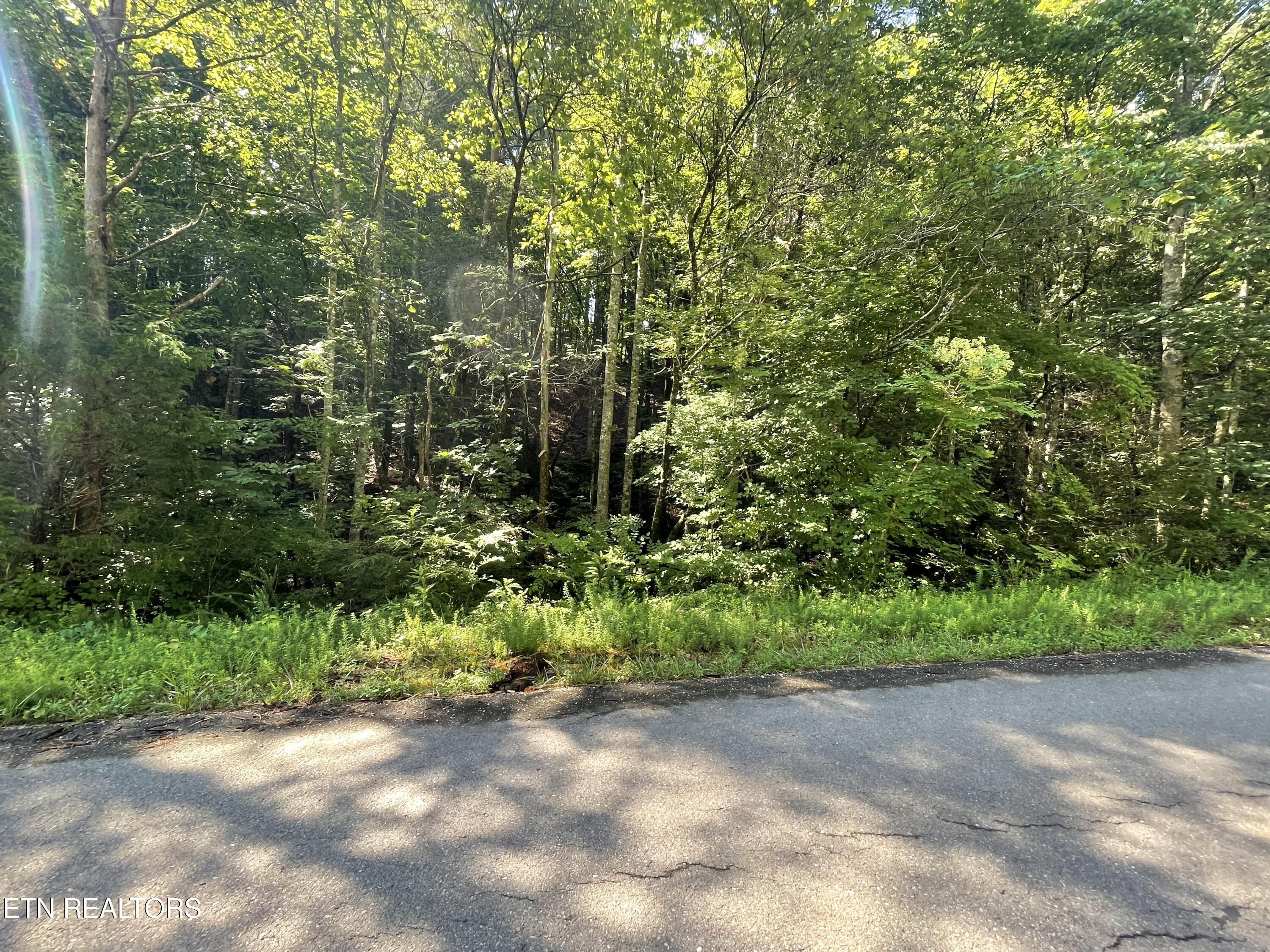 3 Point Road Lots 7,8,9 Vonore TN 37885