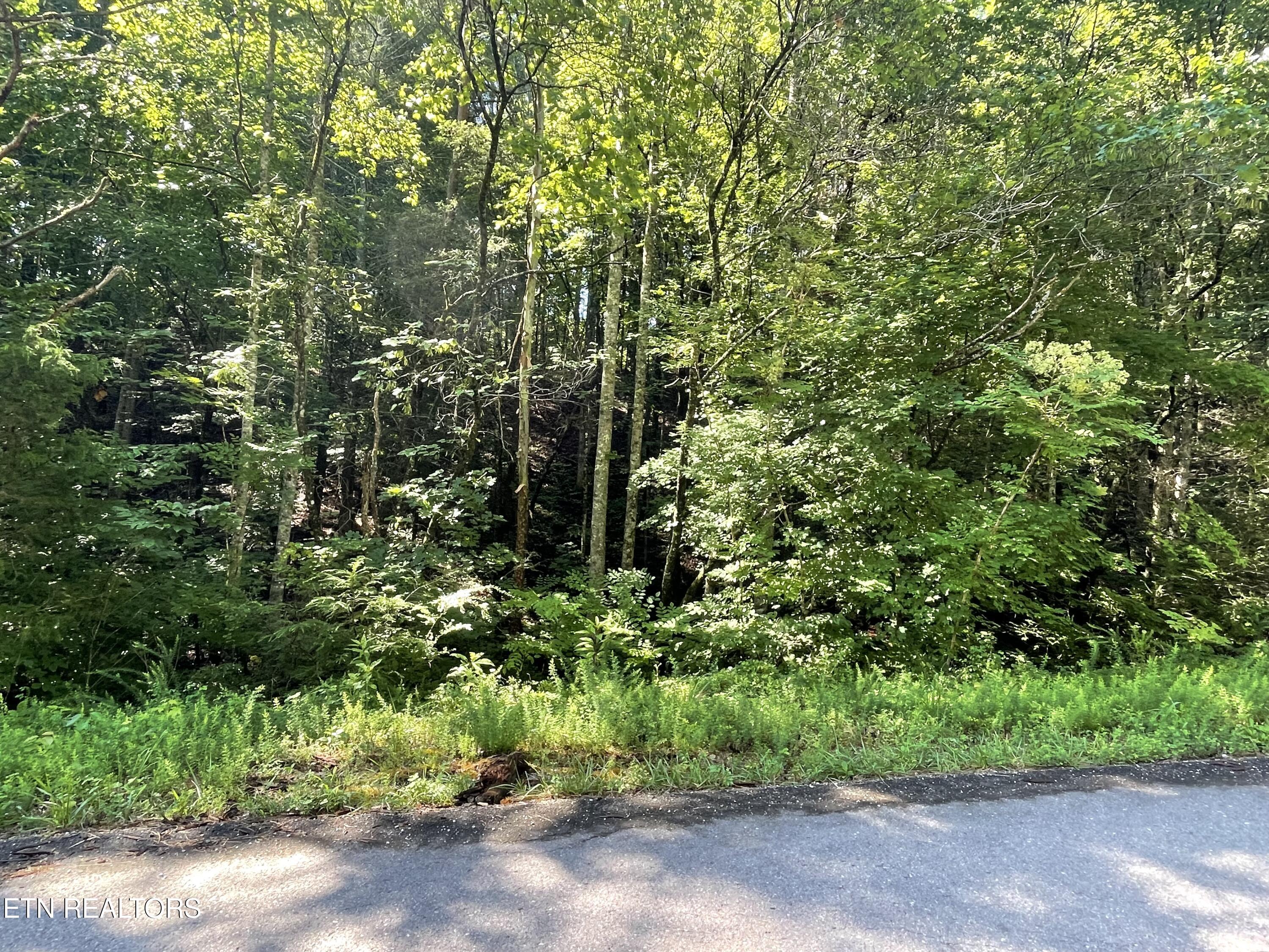 3 Point Road Lots 7,8,9 Vonore TN 37885