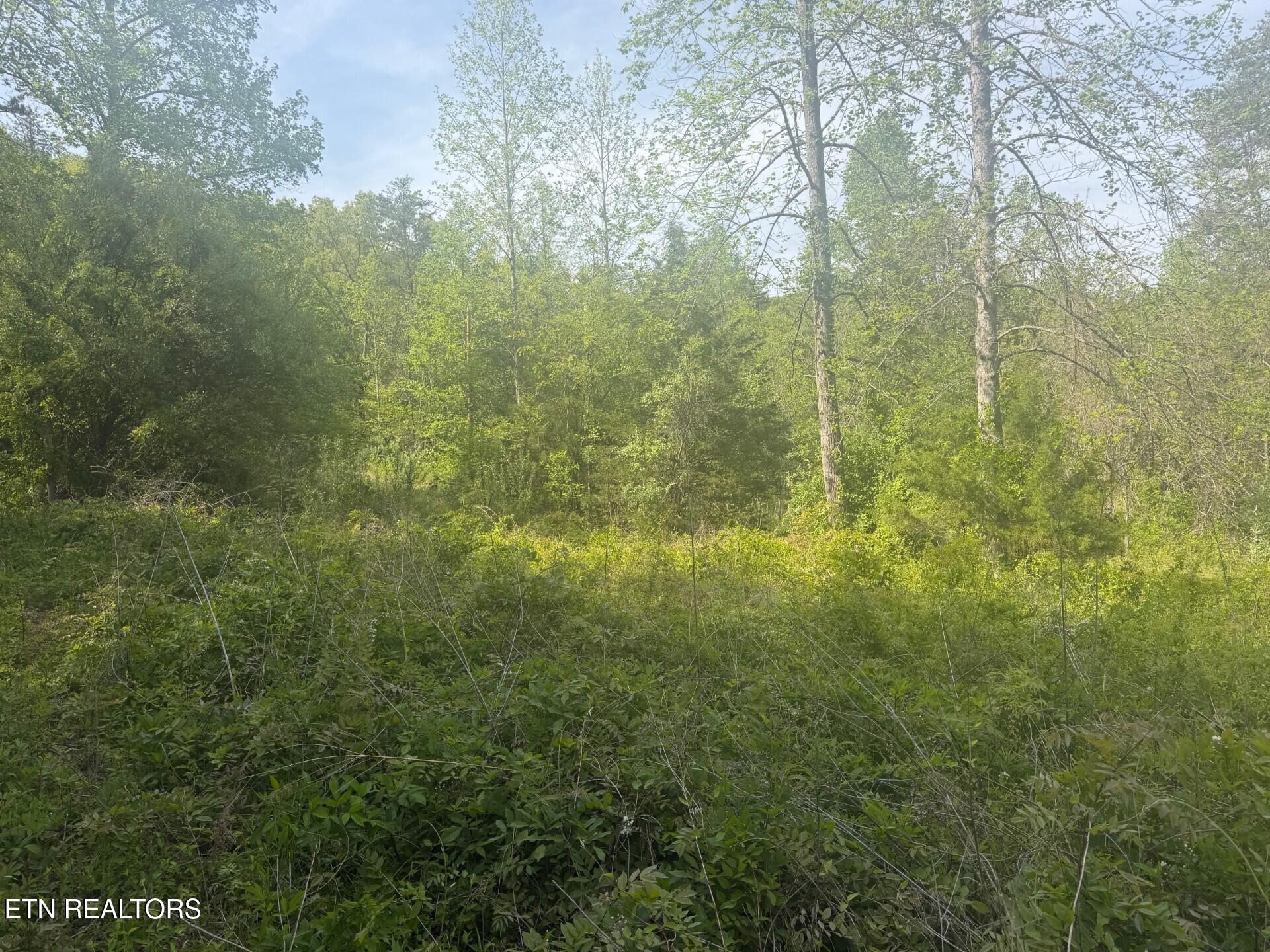 416 Satterfield Road Luttrell TN 37779