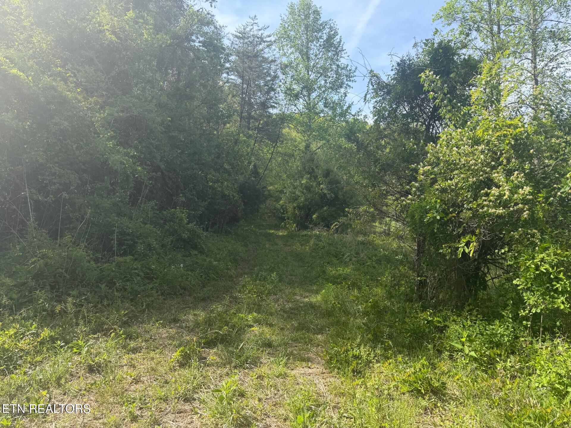 416 Satterfield Road Luttrell TN 37779