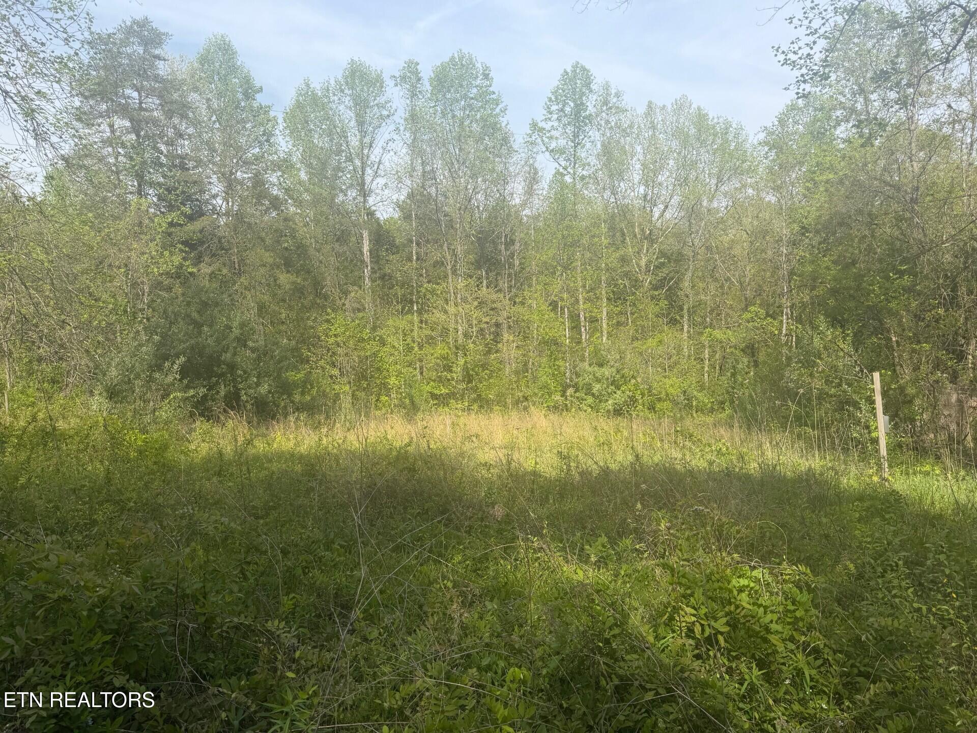 416 Satterfield Road Luttrell TN 37779